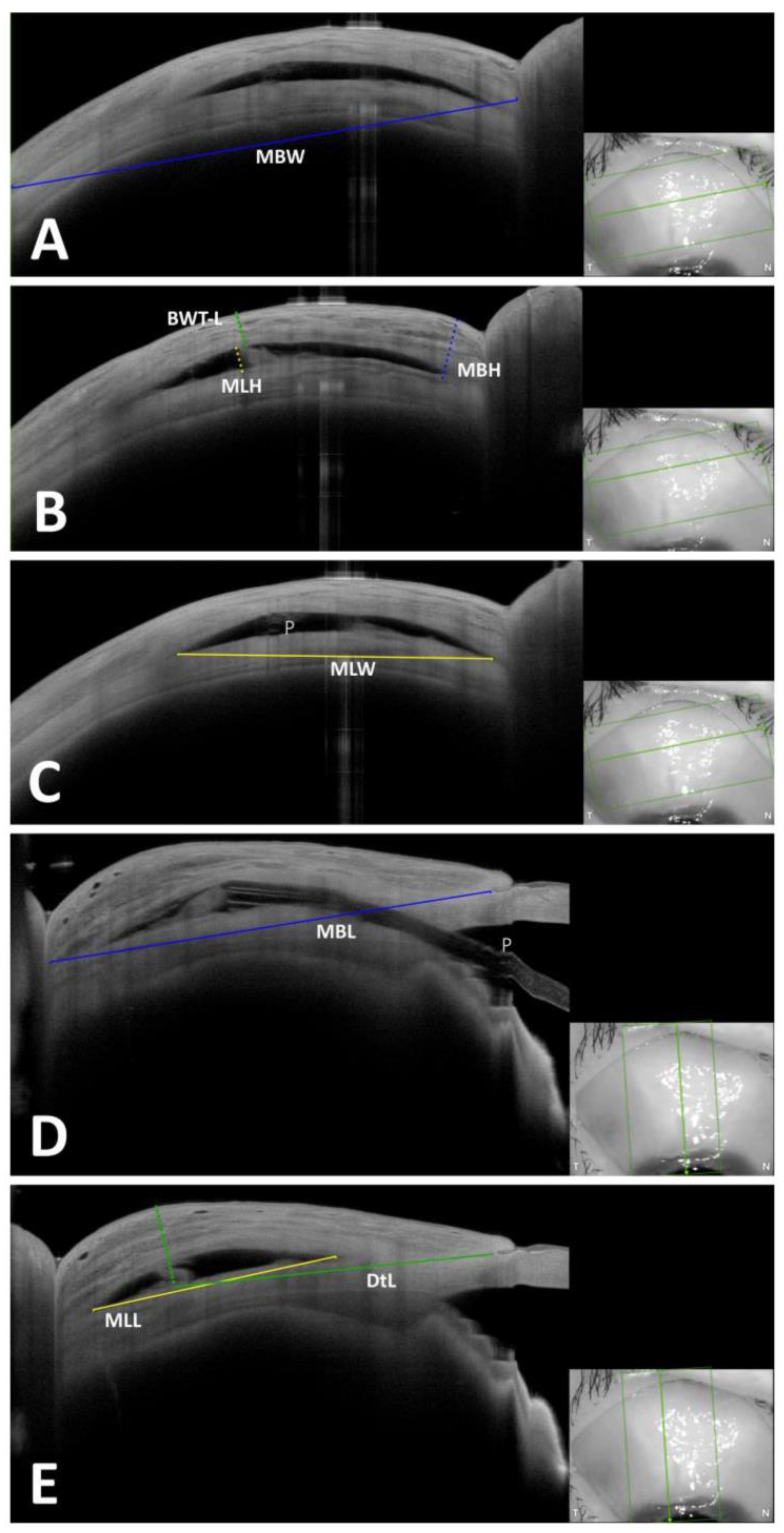 Diagnostics 13 02318 g001 Diagnostics 13 02318 g001