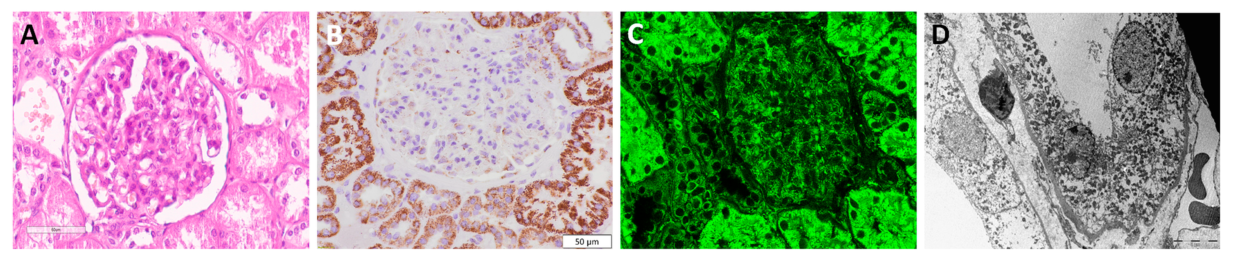 Diagnostics 13 02319 g001