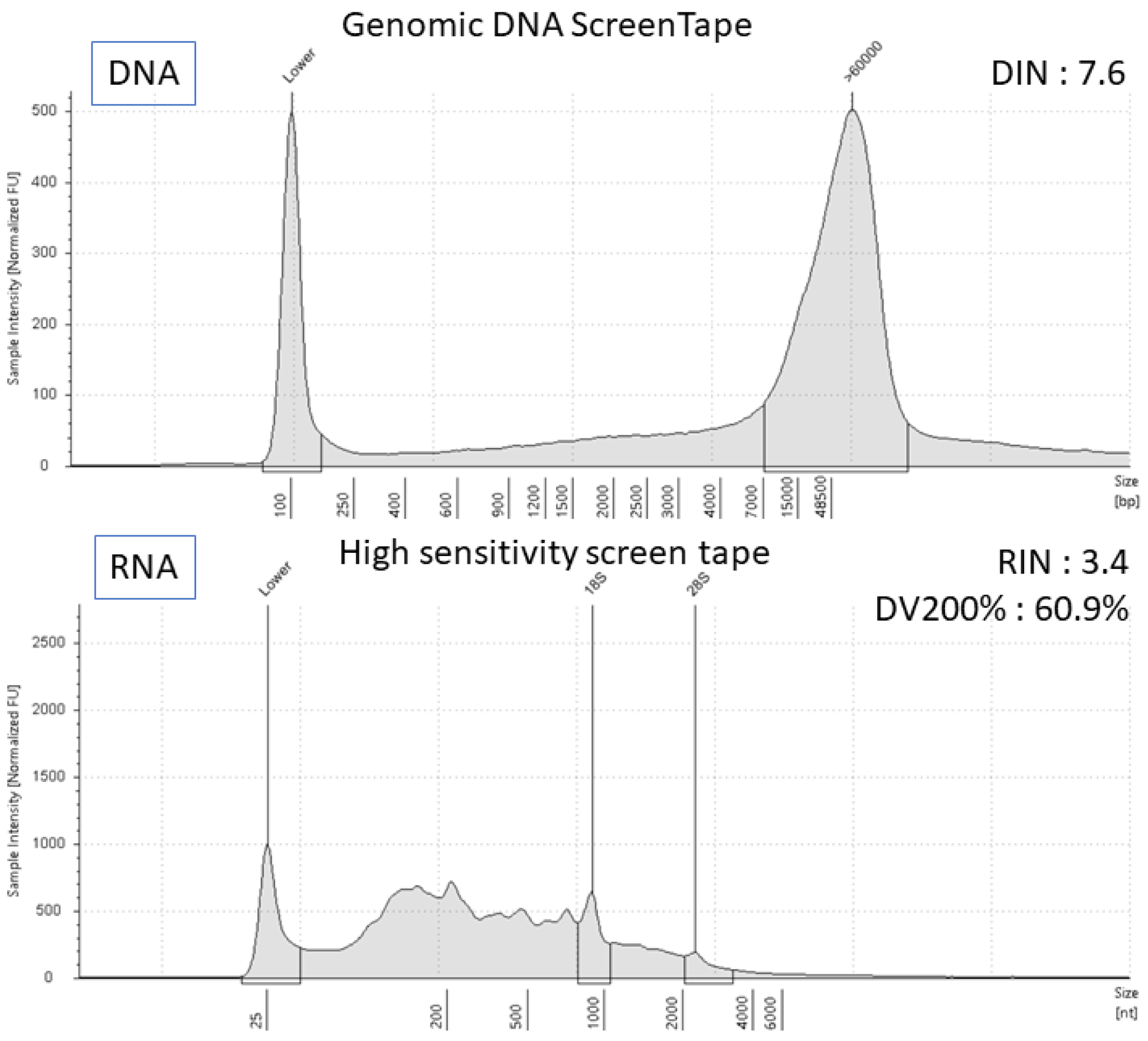 Diagnostics 13 02327 g003 550