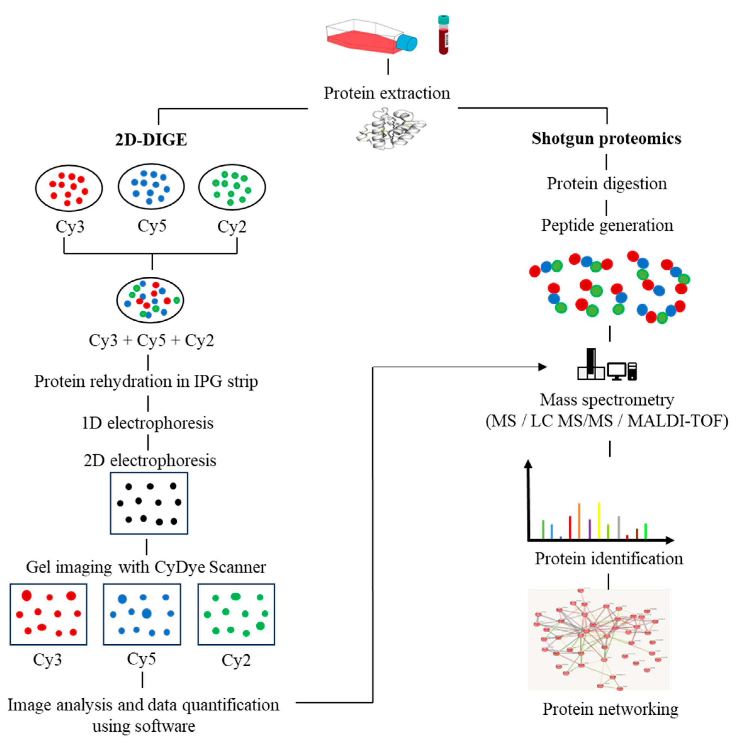 Diagnostics 13 02328 g001