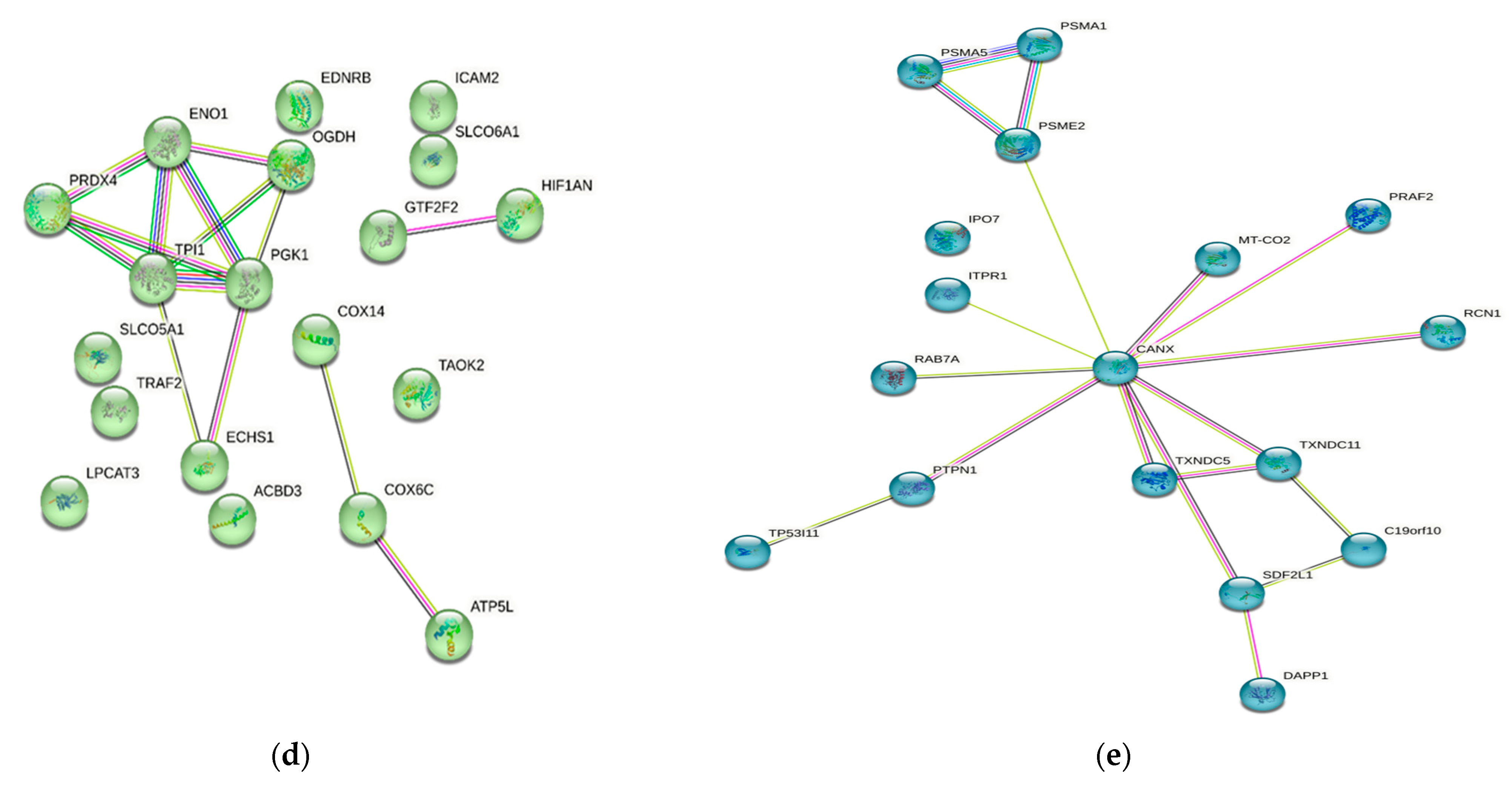 Diagnostics 13 02328 g002c