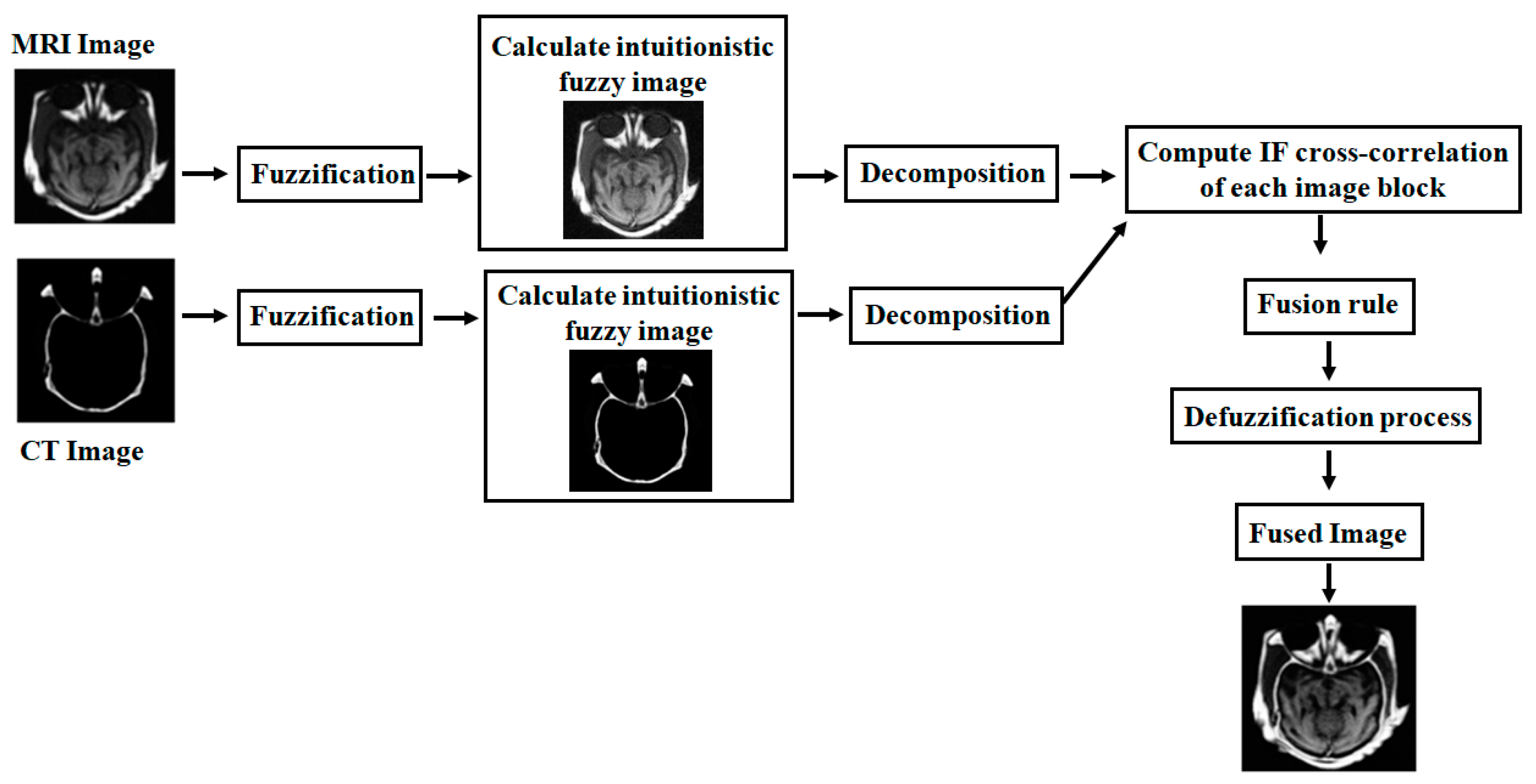 Diagnostics 13 02330 g001