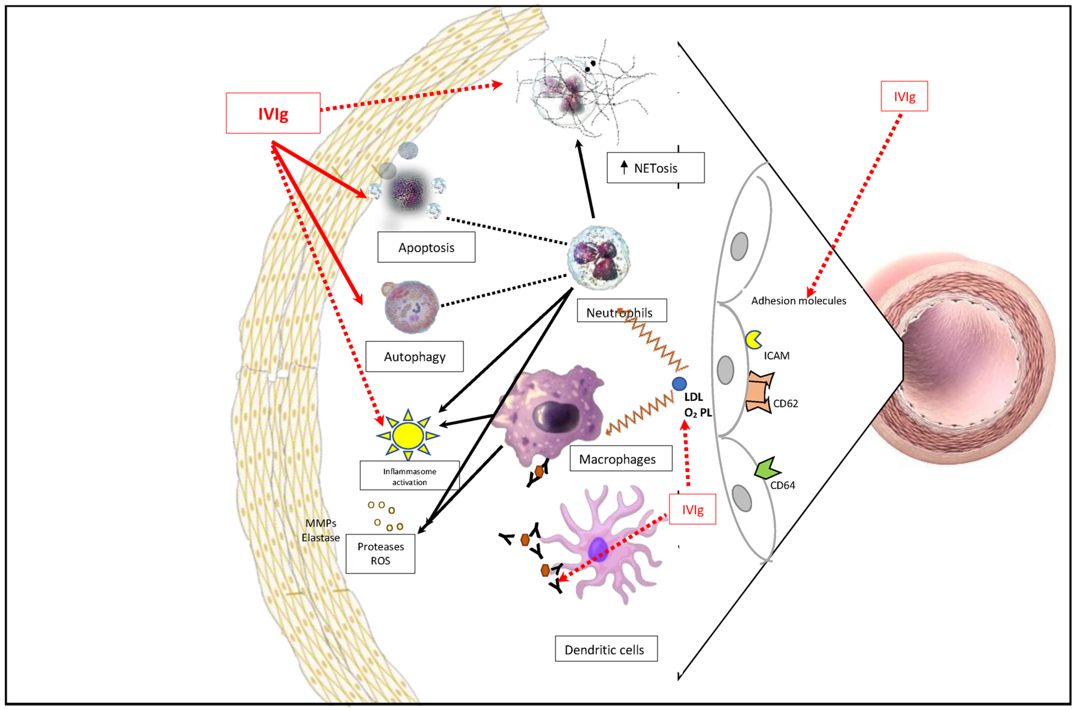 Diagnostics 13 02338 g001 Diagnostics 13 02338 g001