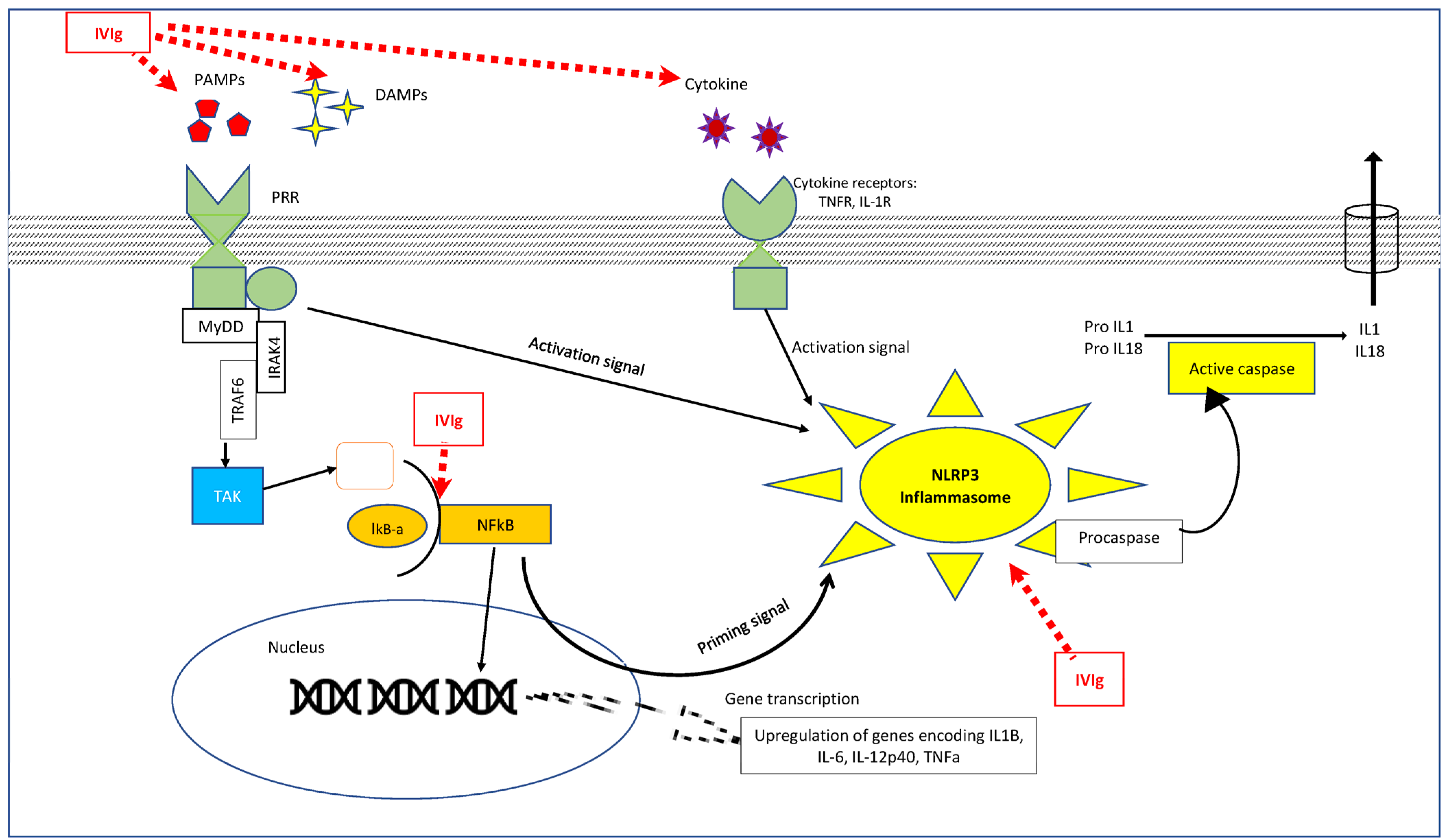 Diagnostics 13 02338 g002 Diagnostics 13 02338 g002