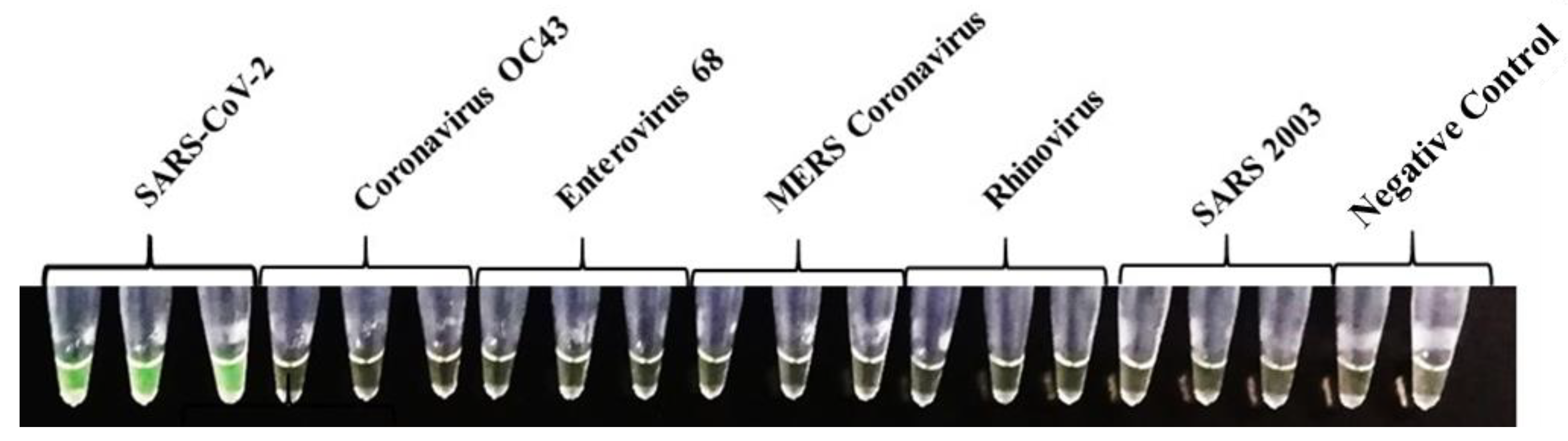 Diagnostics 13 02344 g001