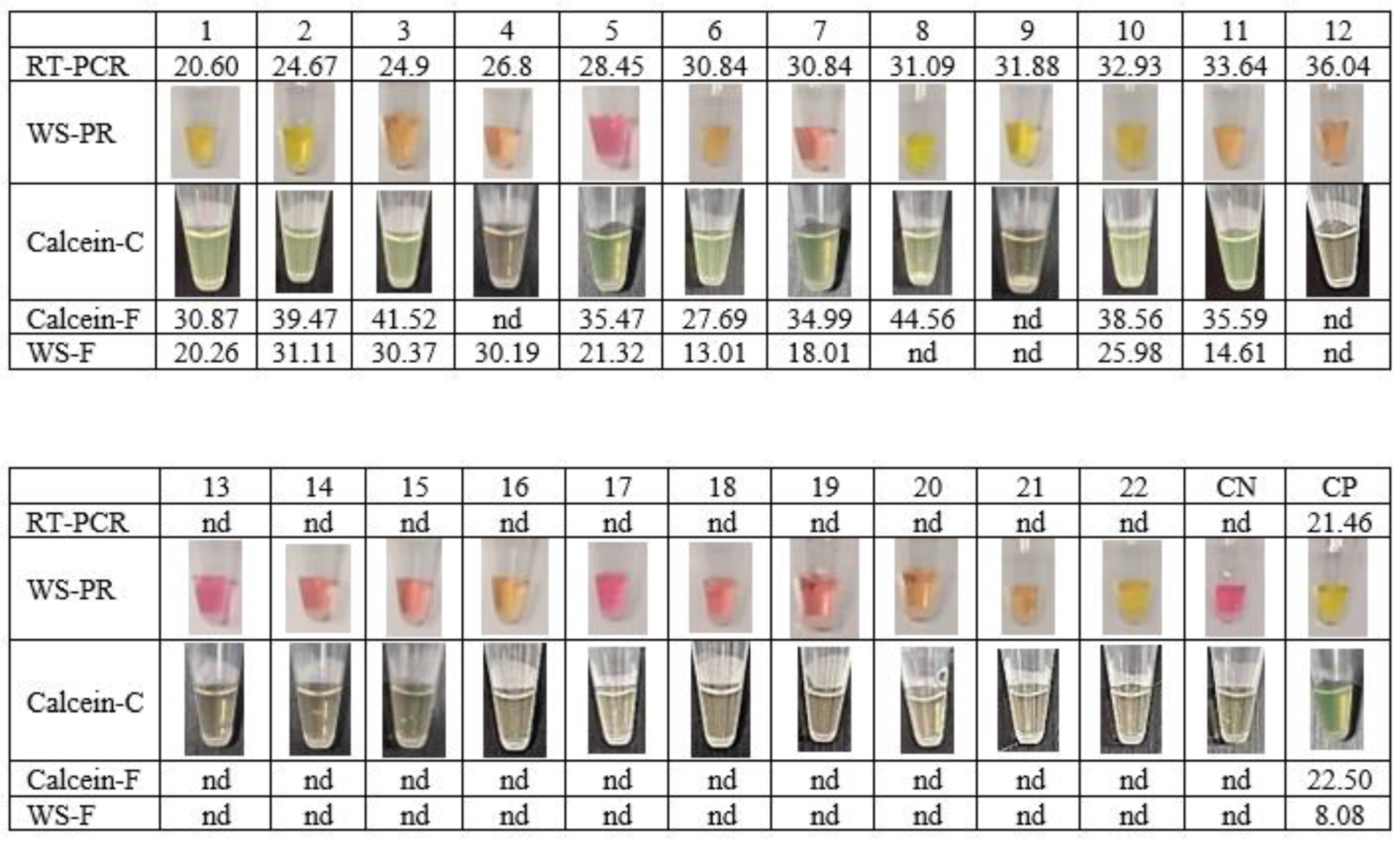 Diagnostics 13 02344 g003