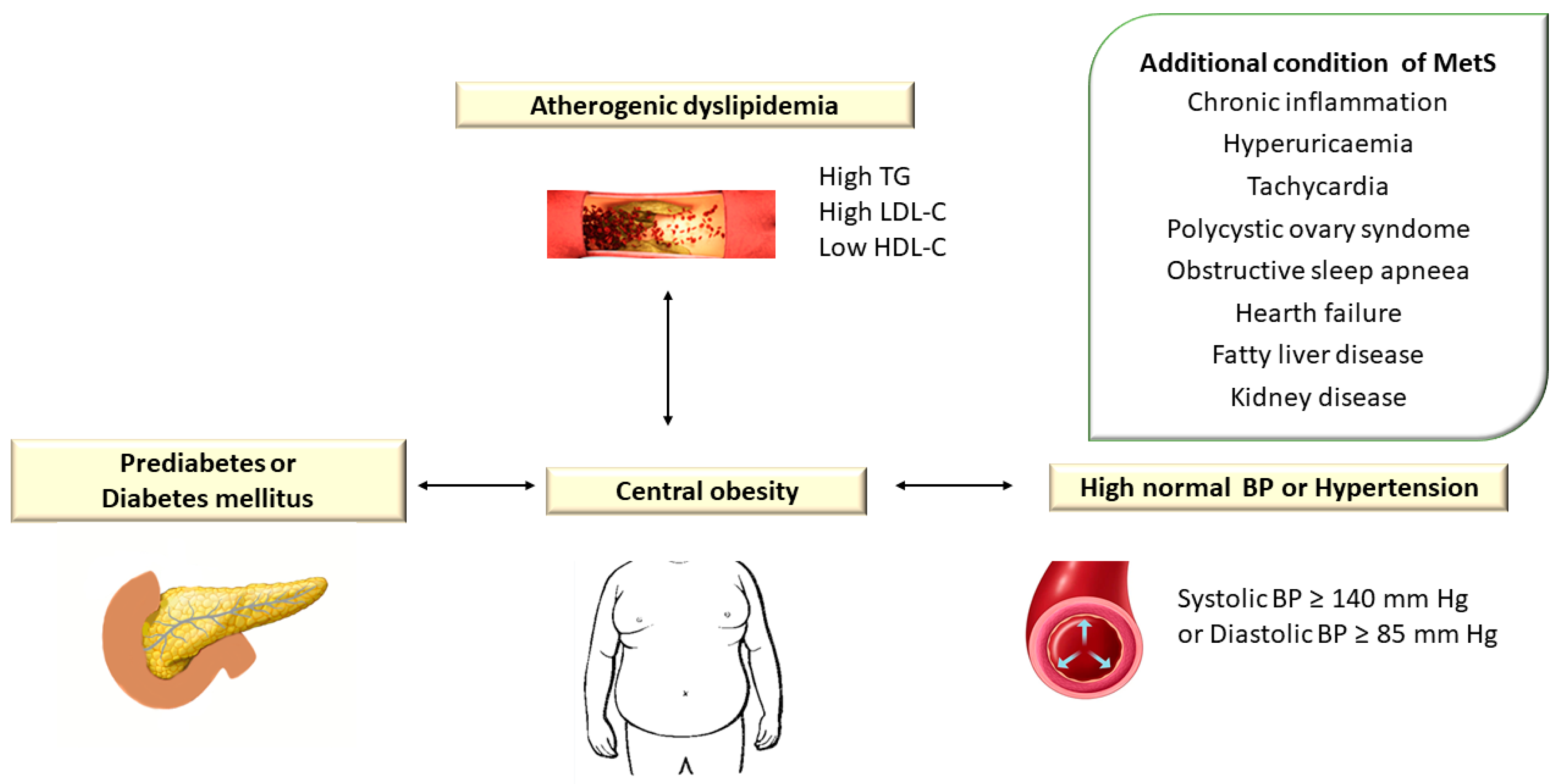 Diagnostics 13 02348 g001 Diagnostics 13 02348 g001