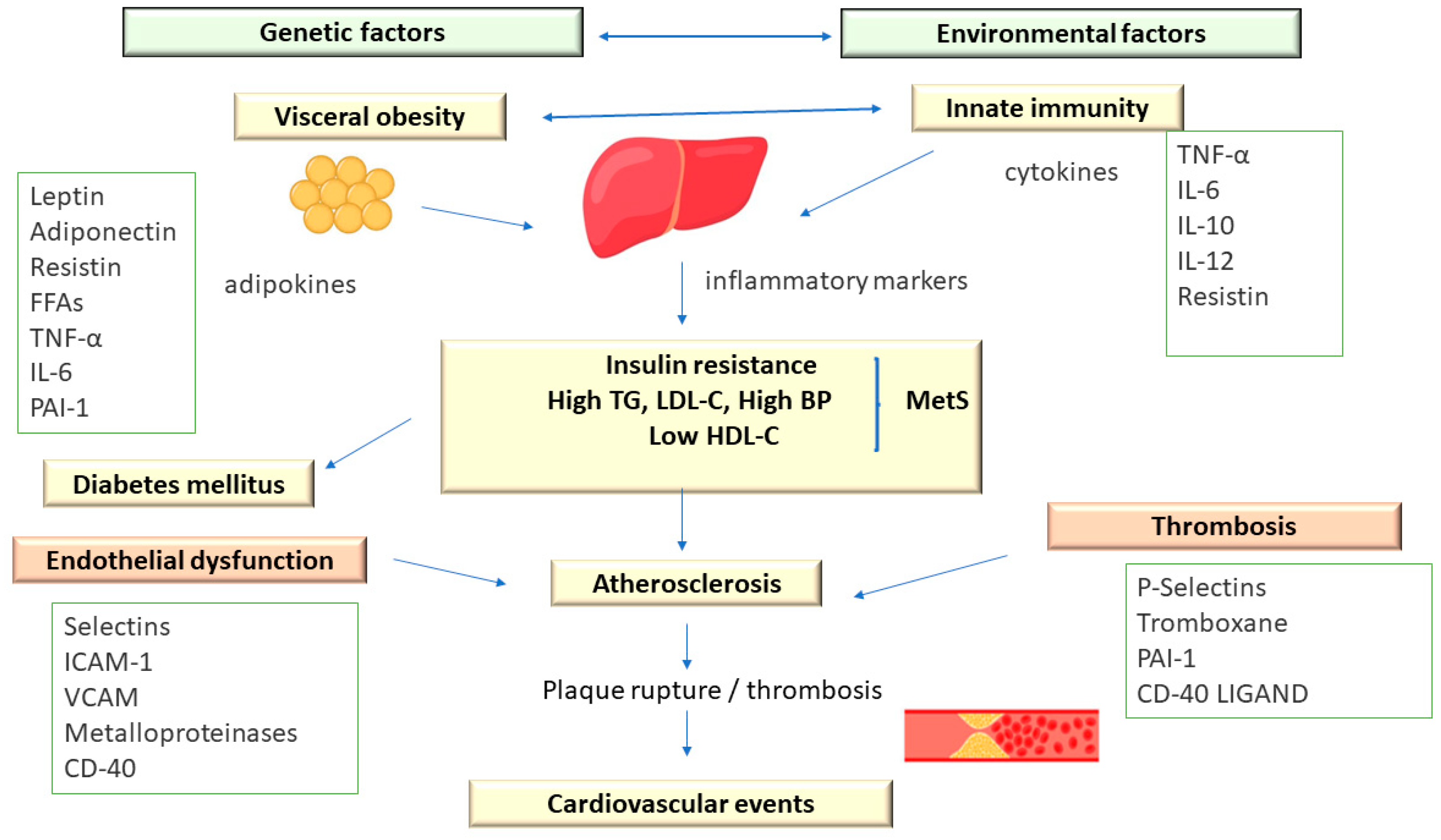 Diagnostics 13 02348 g002 Diagnostics 13 02348 g002