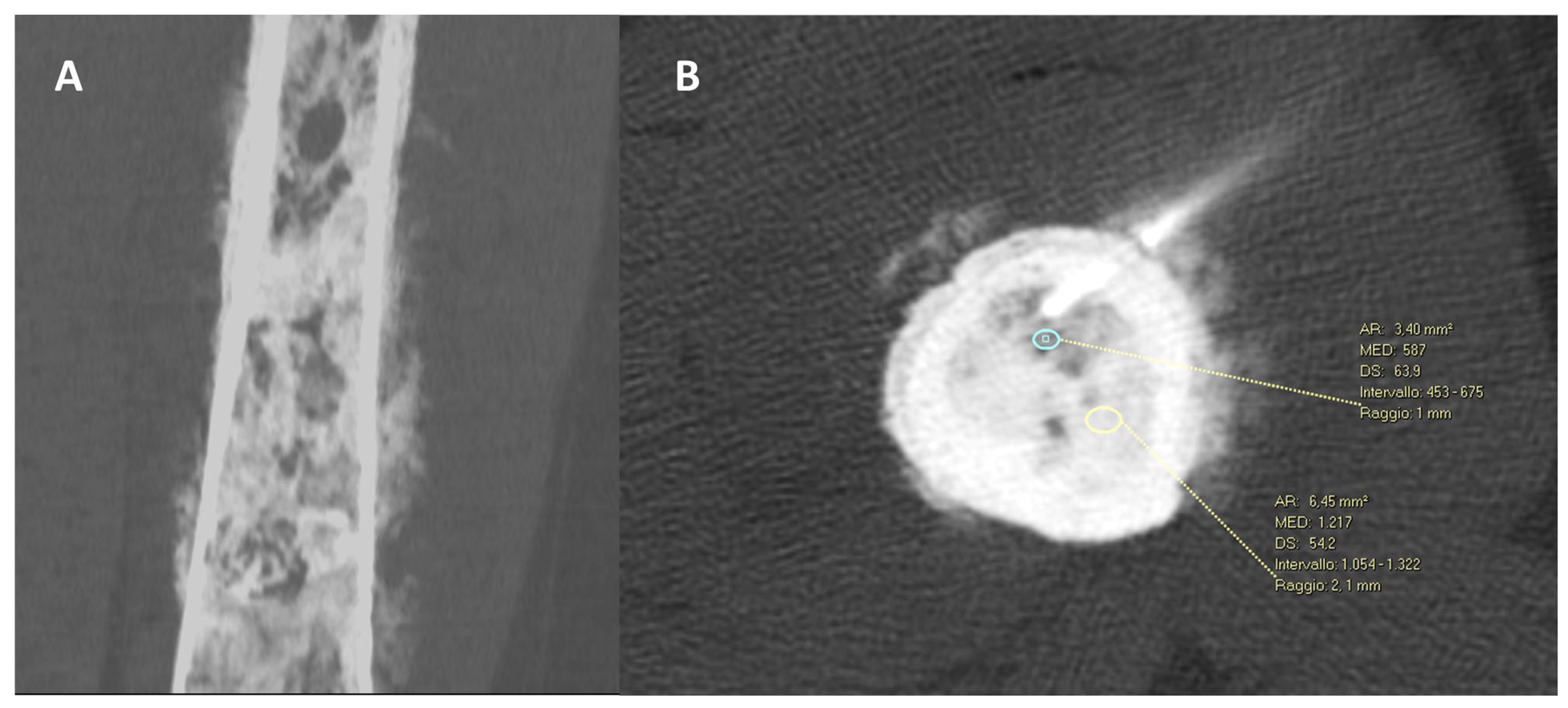 Diagnostics 13 02350 g008