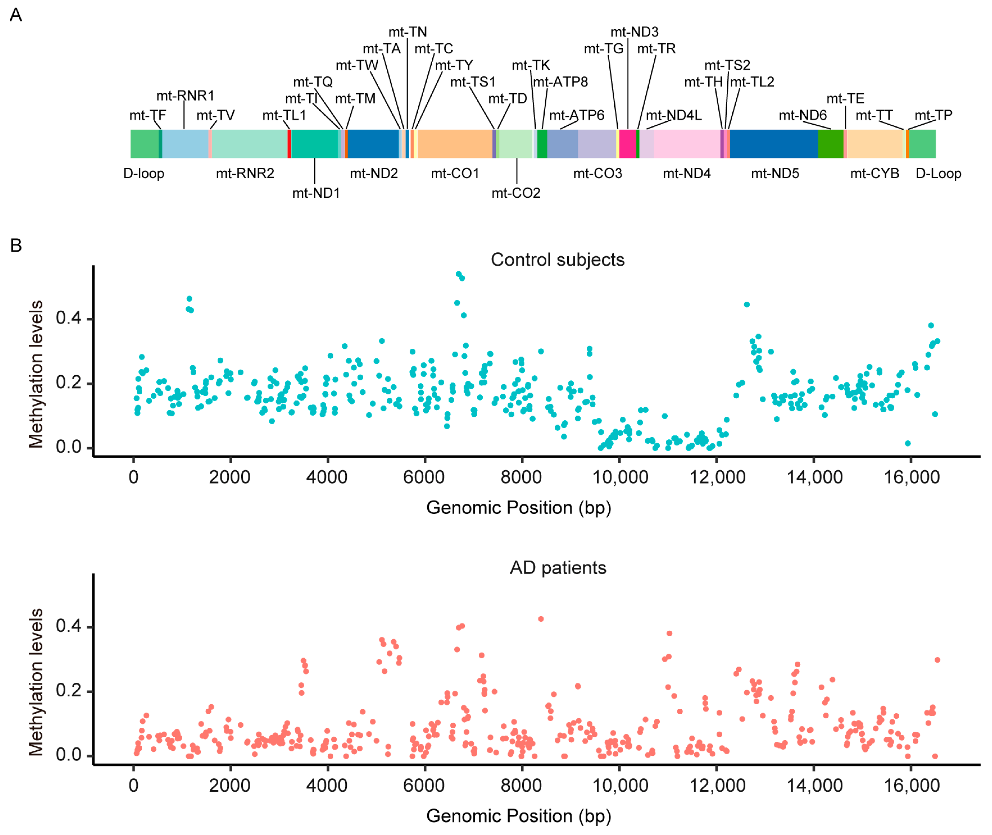 Diagnostics 13 02351 g001