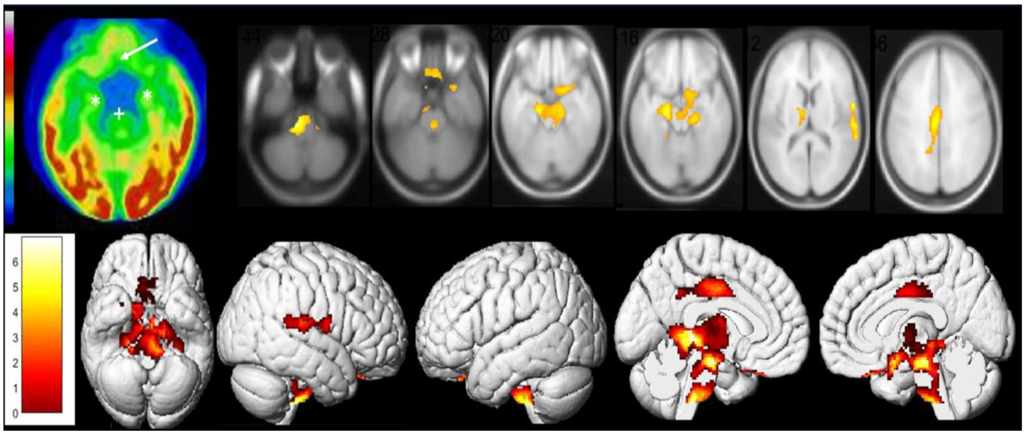 Diagnostics 13 02353 g003 Diagnostics 13 02353 g003