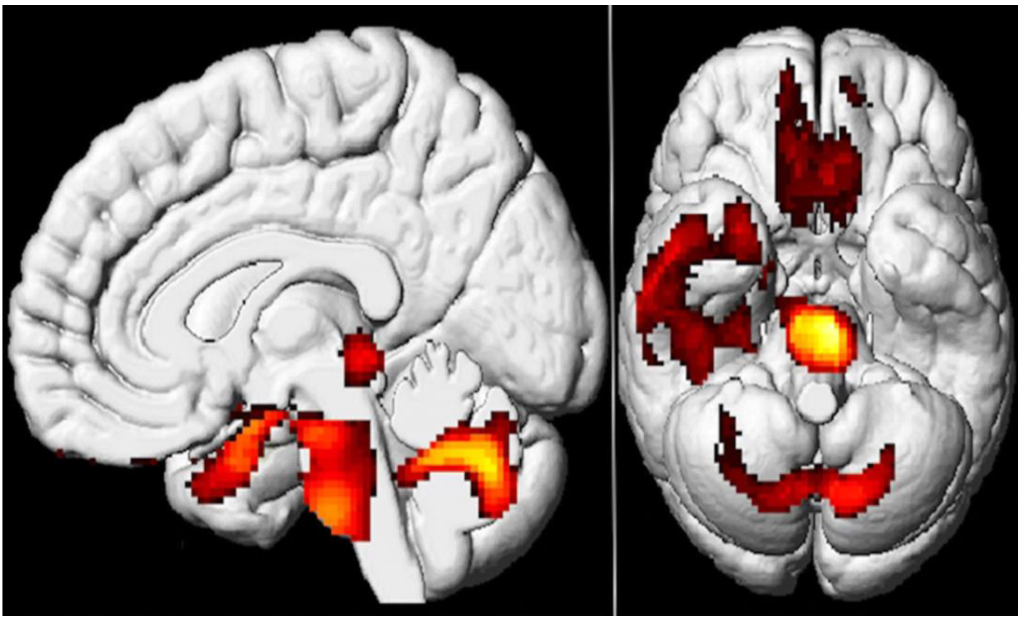 Diagnostics 13 02353 g004 Diagnostics 13 02353 g004