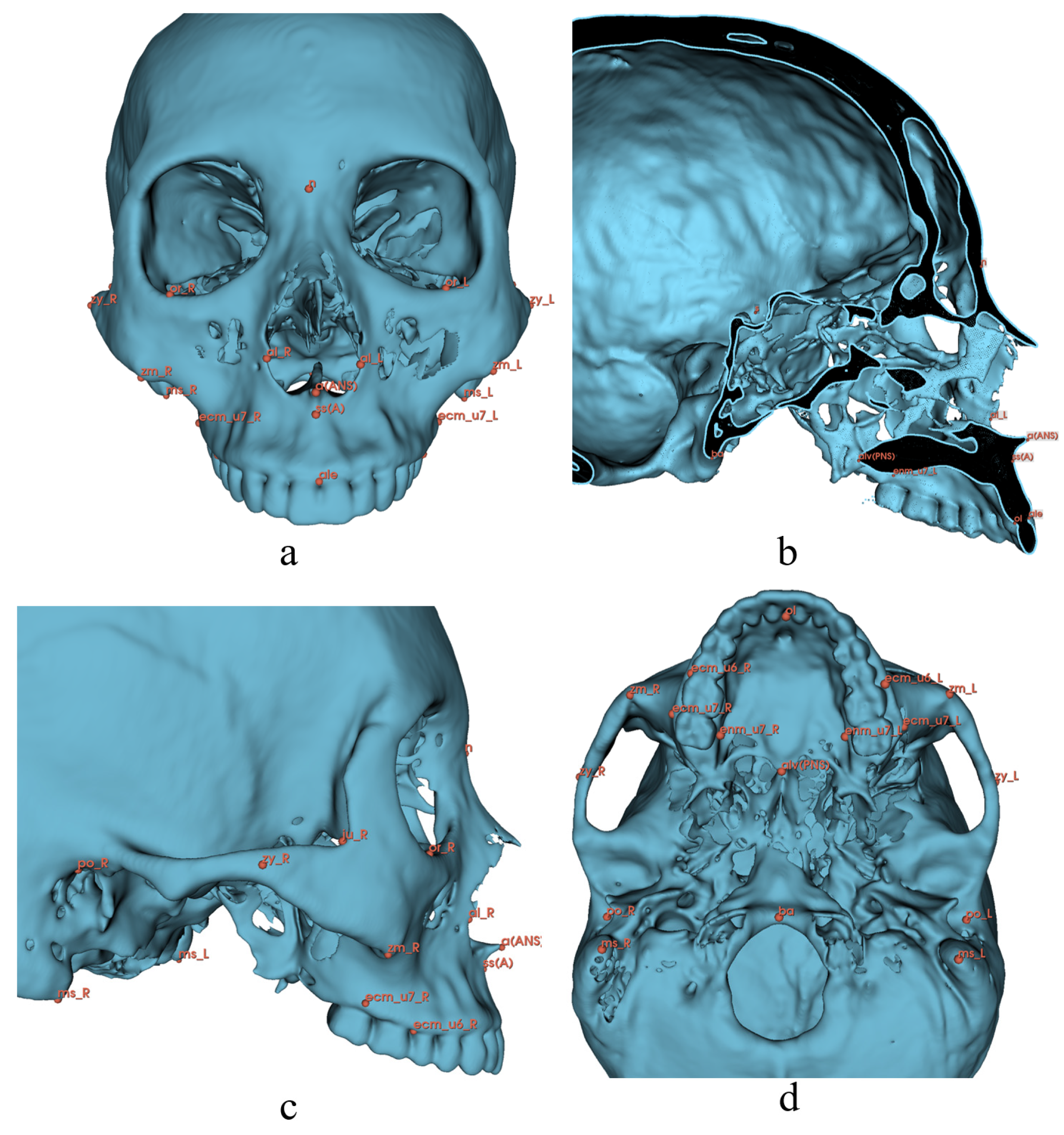 Diagnostics 13 02360 g001