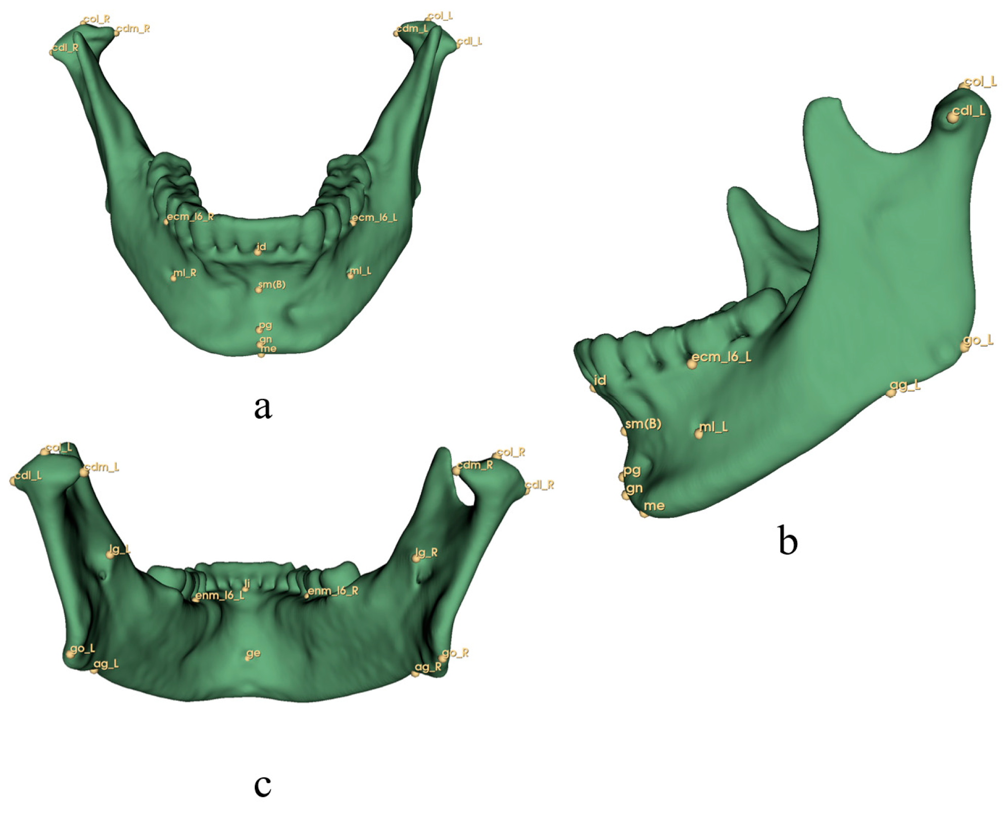 Diagnostics 13 02360 g002