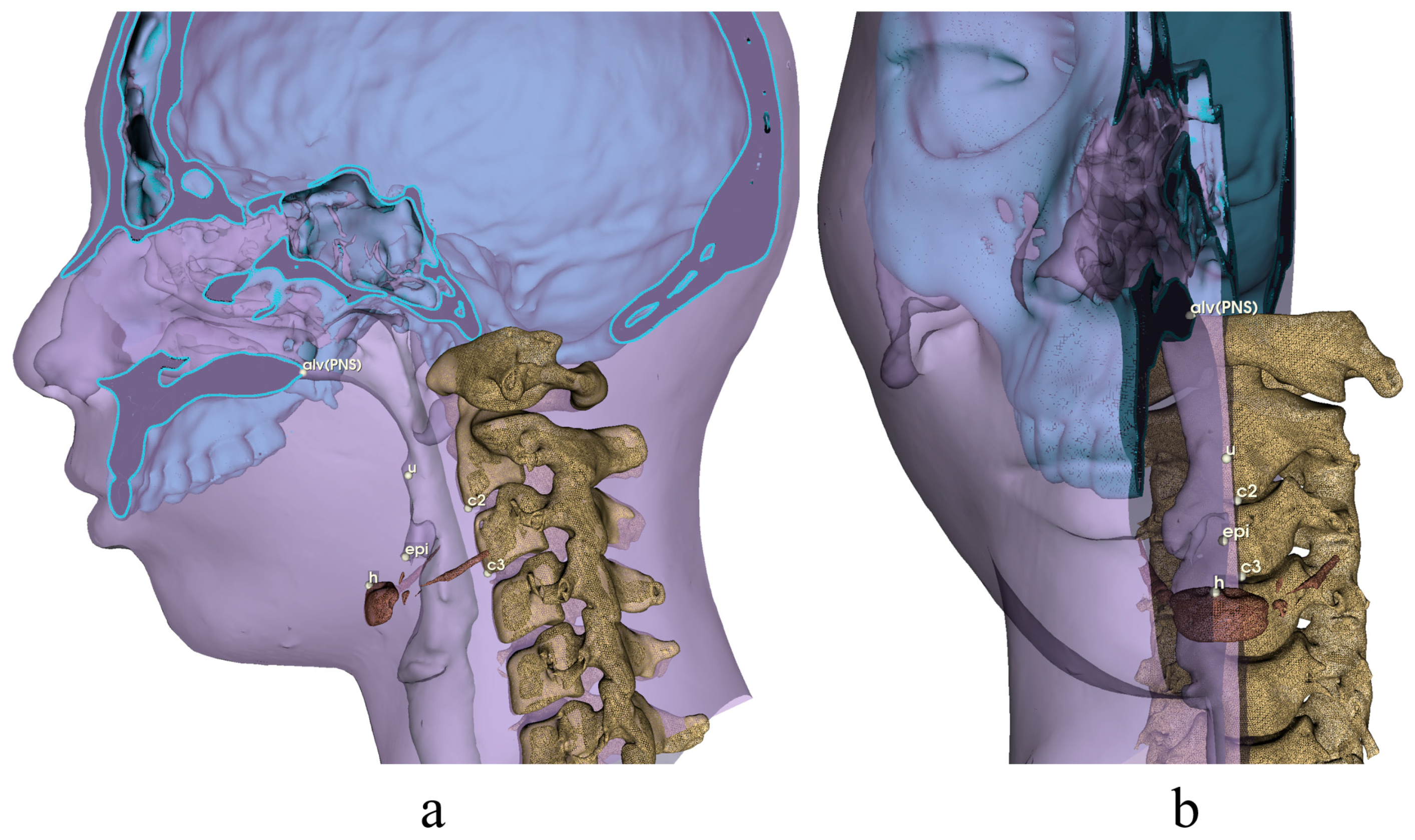 Diagnostics 13 02360 g005