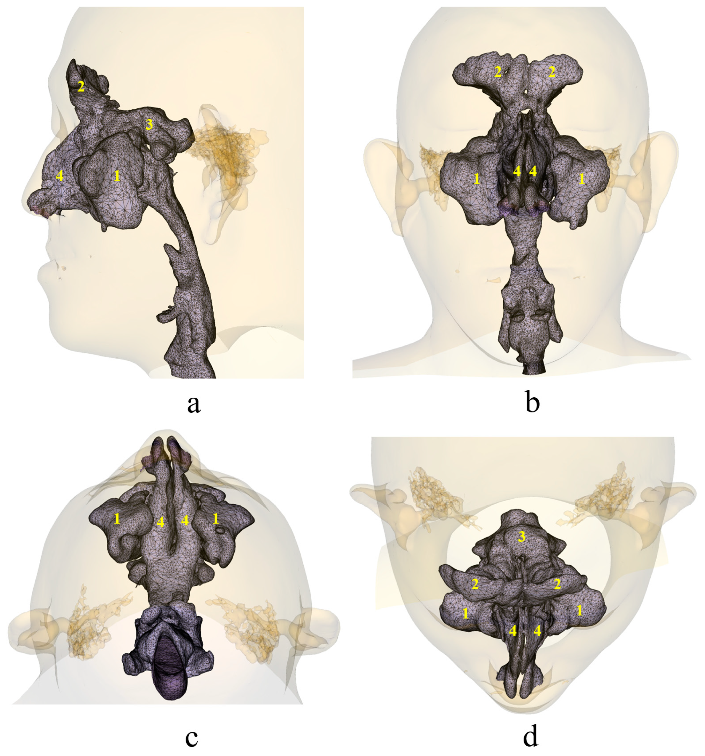 Diagnostics 13 02360 g007