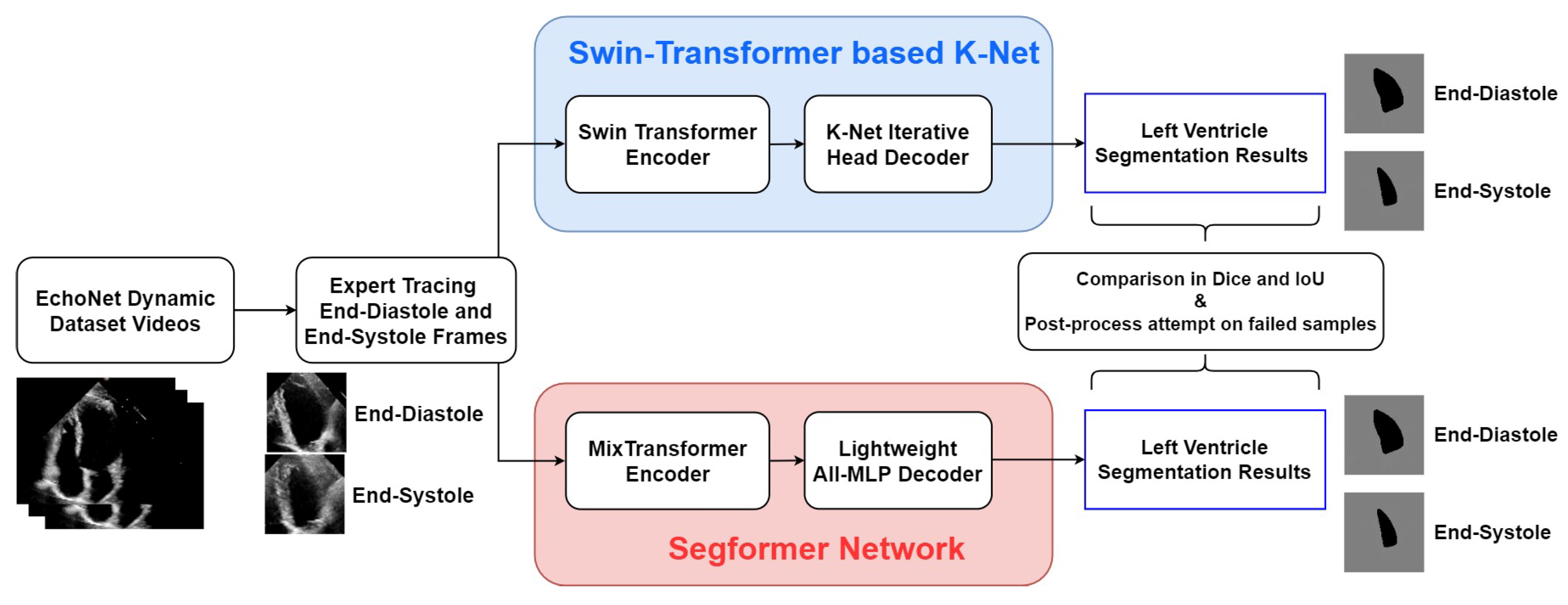 Diagnostics 13 02365 g002