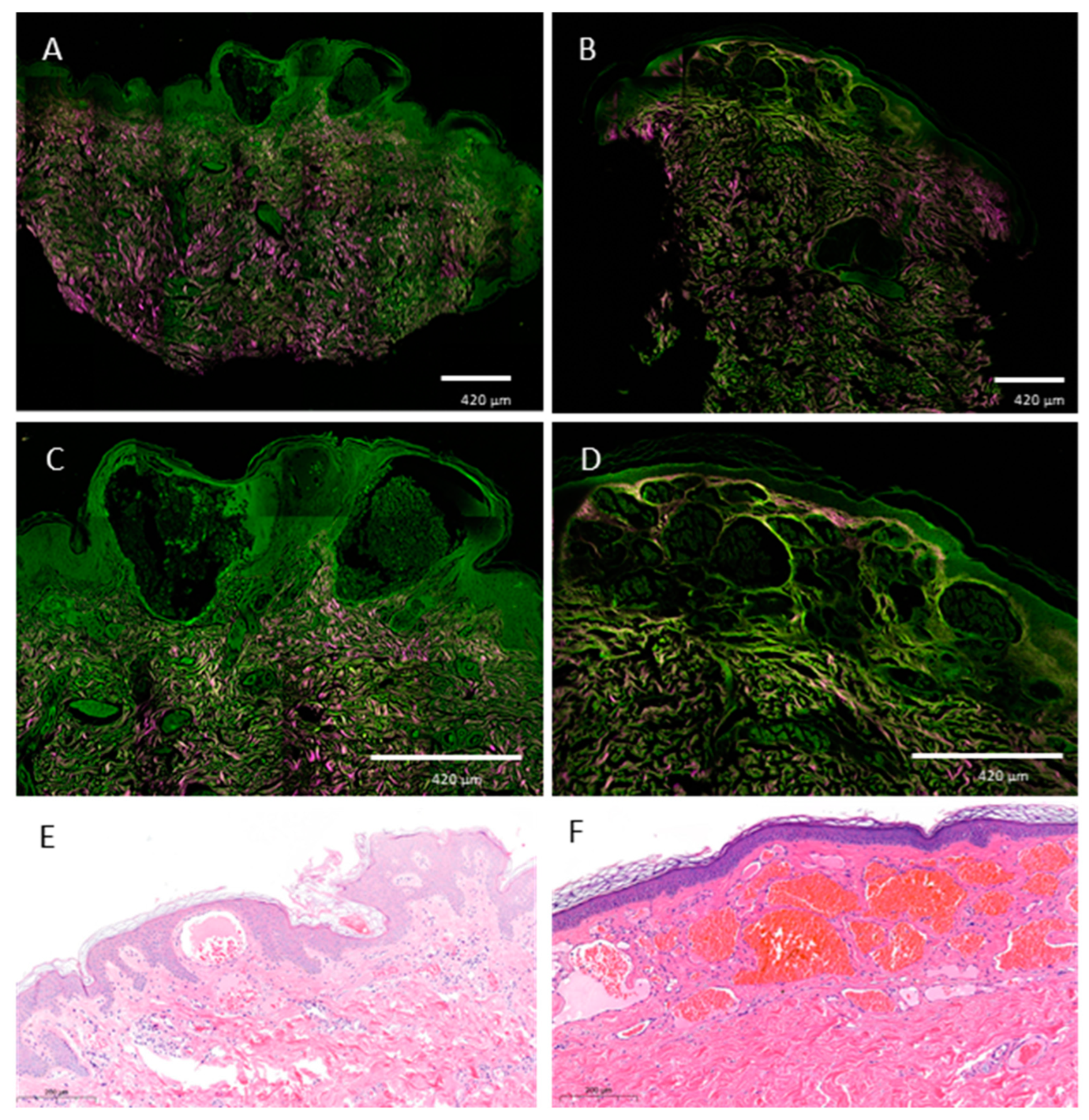 Diagnostics 13 02368 g006 Diagnostics 13 02368 g006