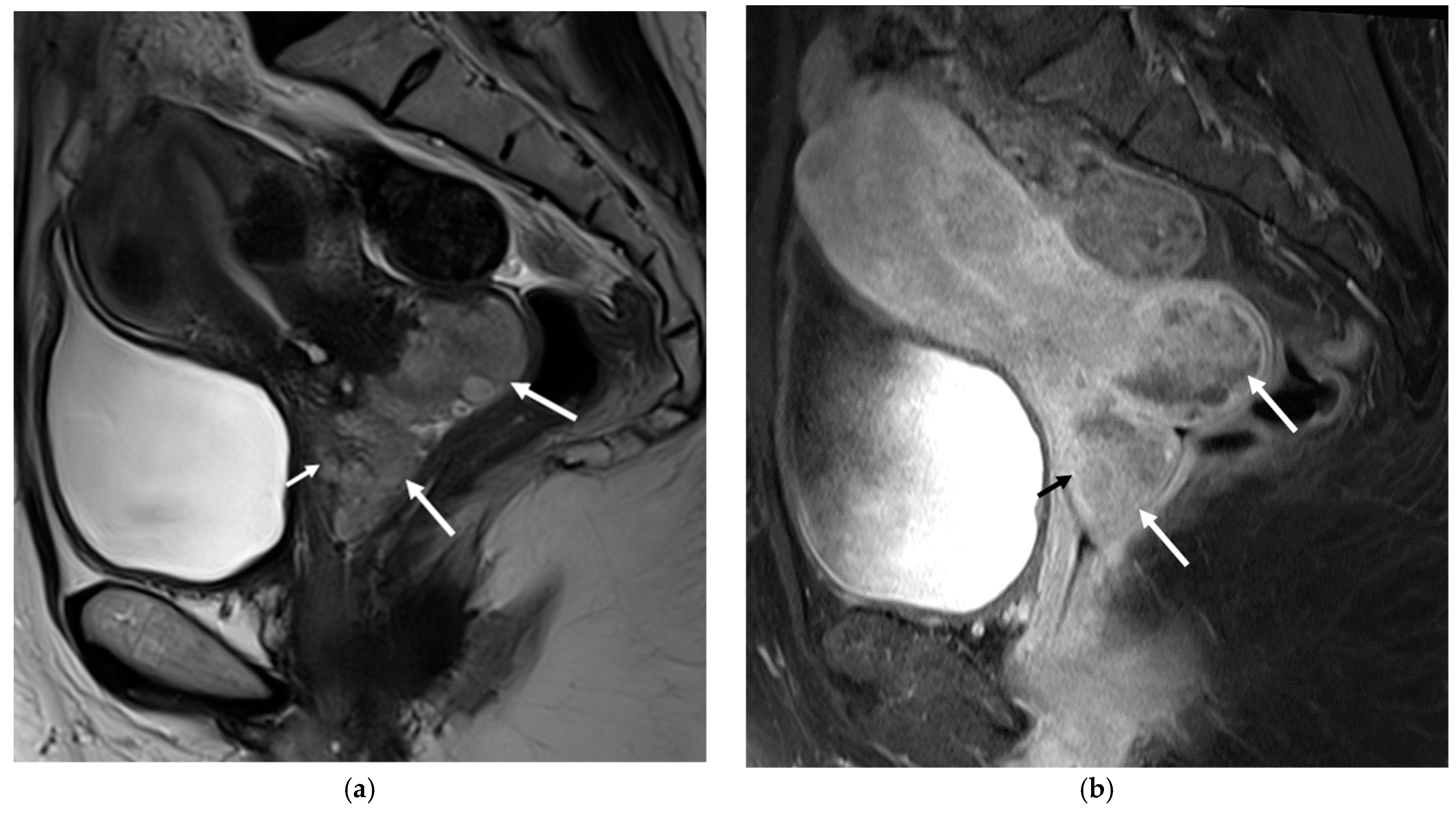 Diagnostics 13 02370 g001 Diagnostics 13 02370 g001
