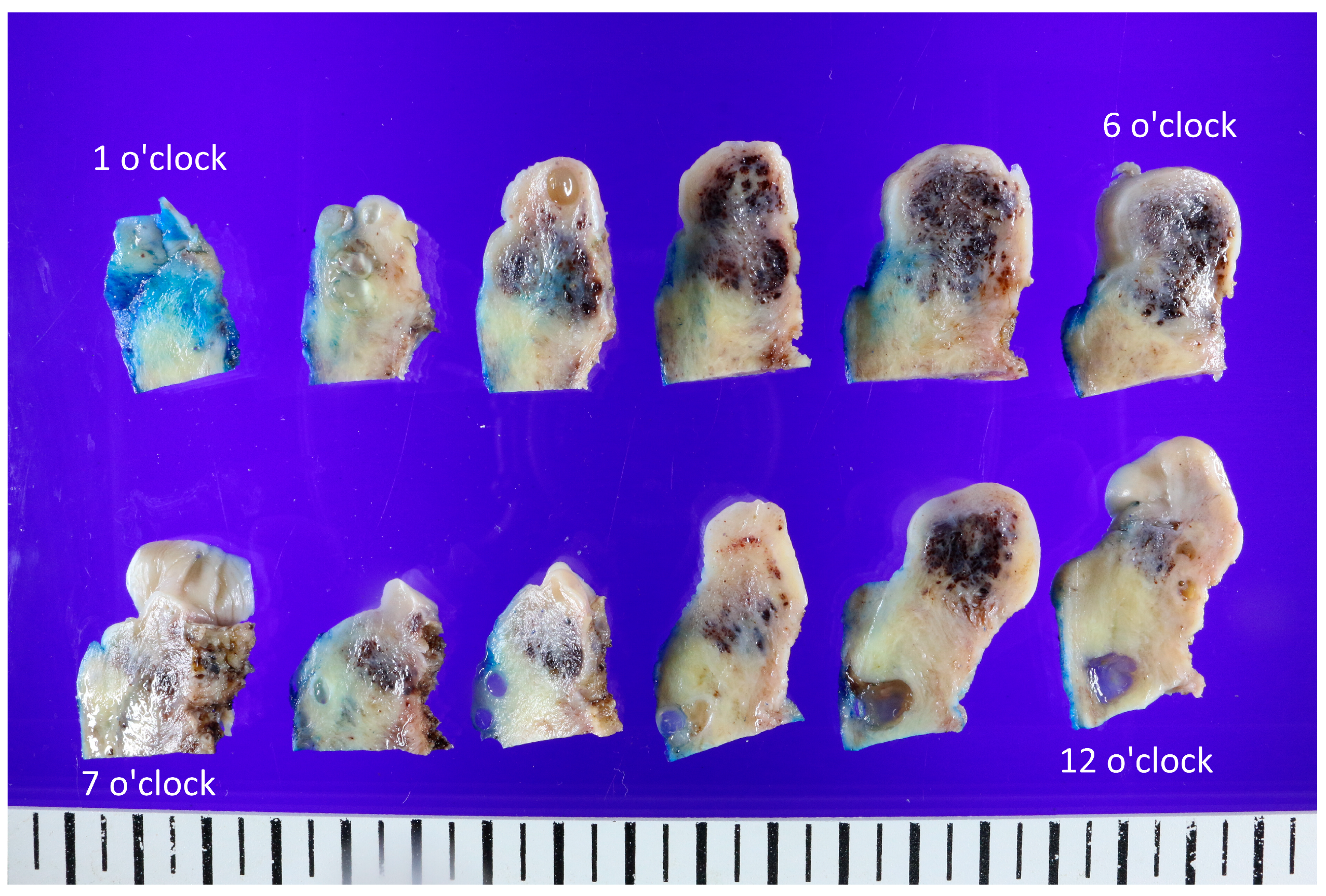 Diagnostics 13 02370 g002 Diagnostics 13 02370 g002