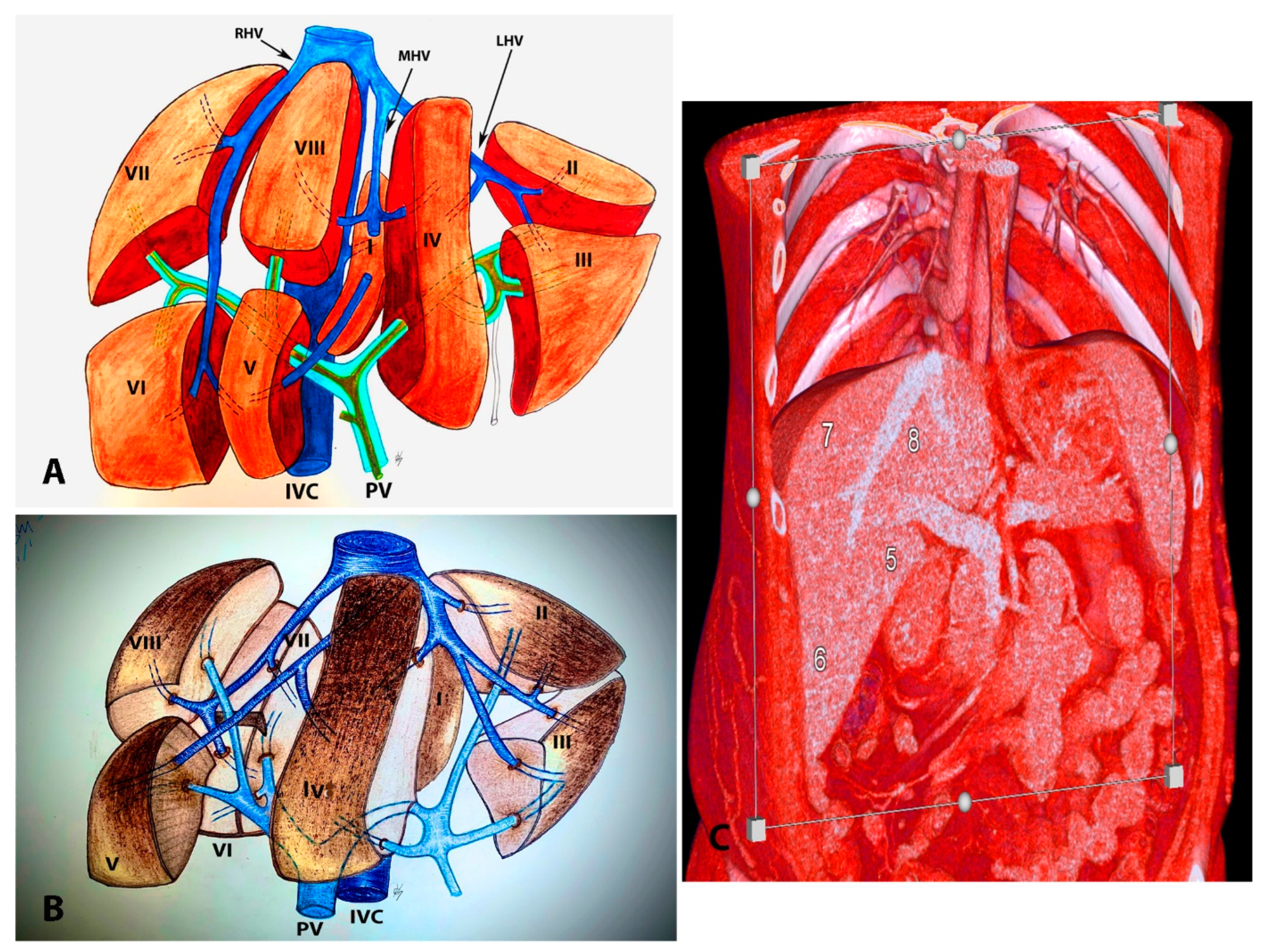 Diagnostics 13 02371 g015 Diagnostics 13 02371 g015