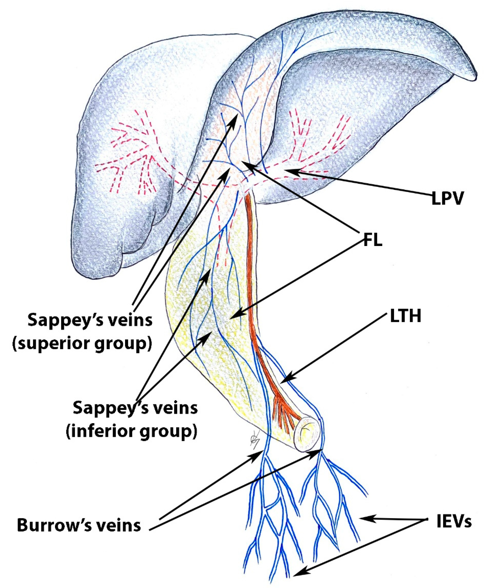 Diagnostics 13 02371 g021 Diagnostics 13 02371 g021