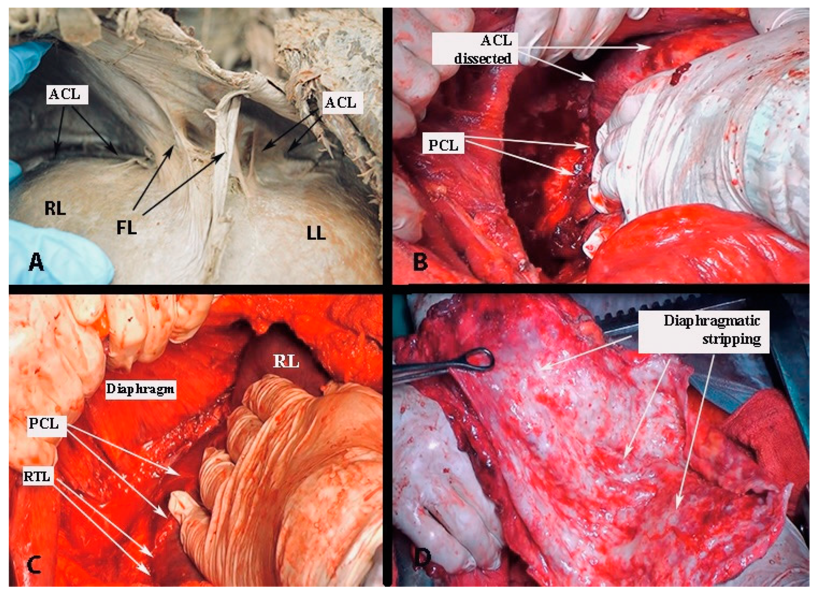 Diagnostics 13 02371 g027 Diagnostics 13 02371 g027