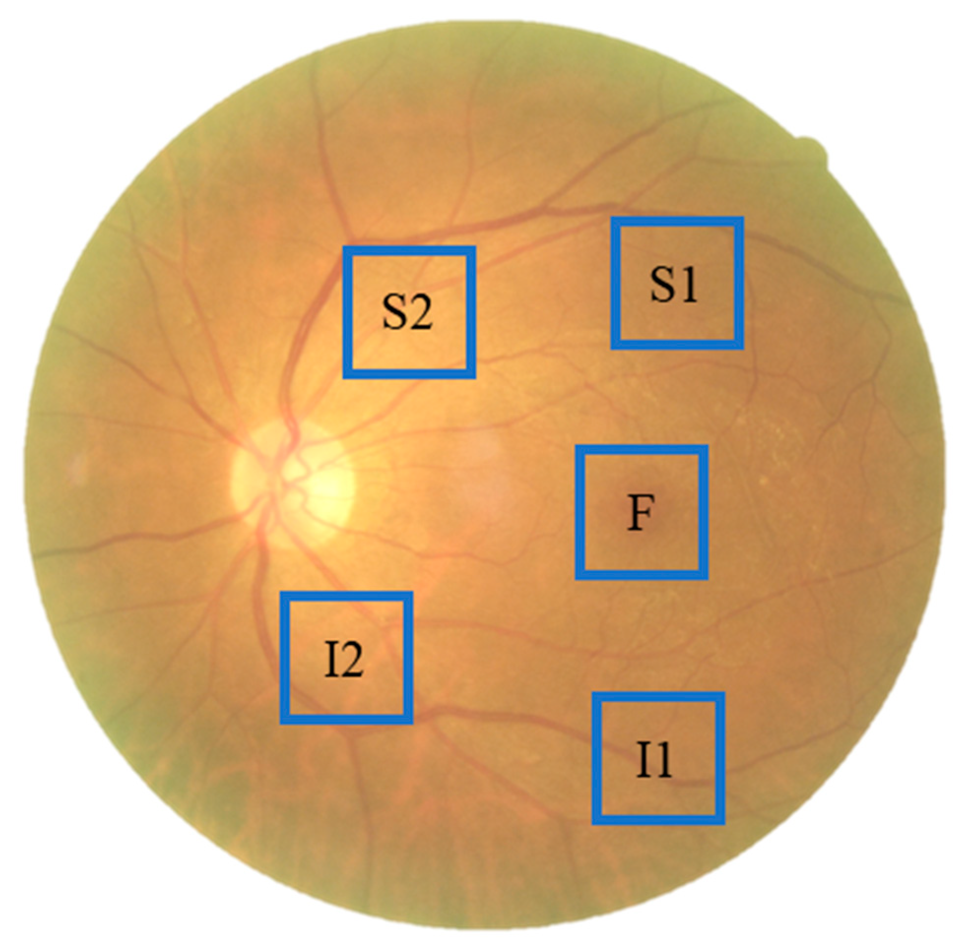 Diagnostics 13 02373 g003 Diagnostics 13 02373 g003
