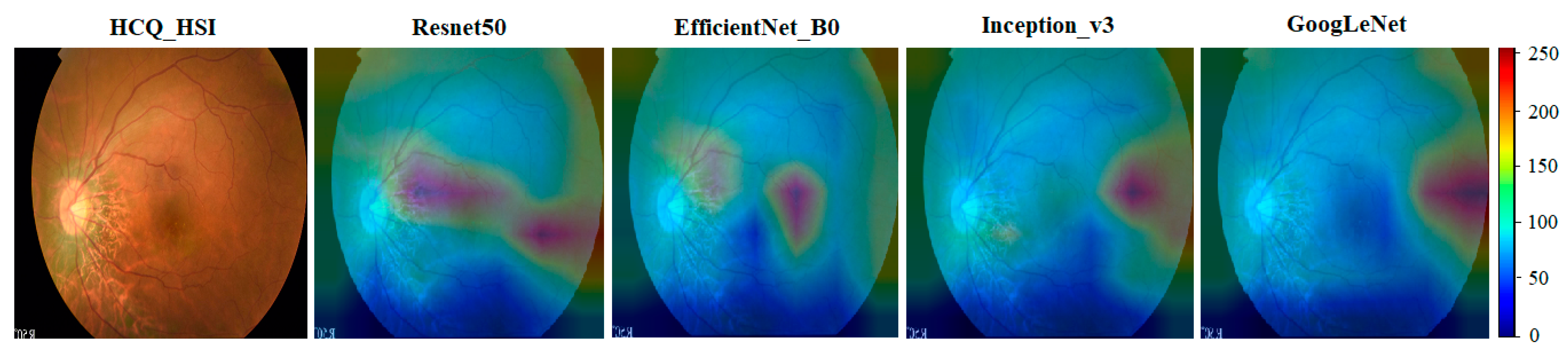 Diagnostics 13 02373 g008 Diagnostics 13 02373 g008