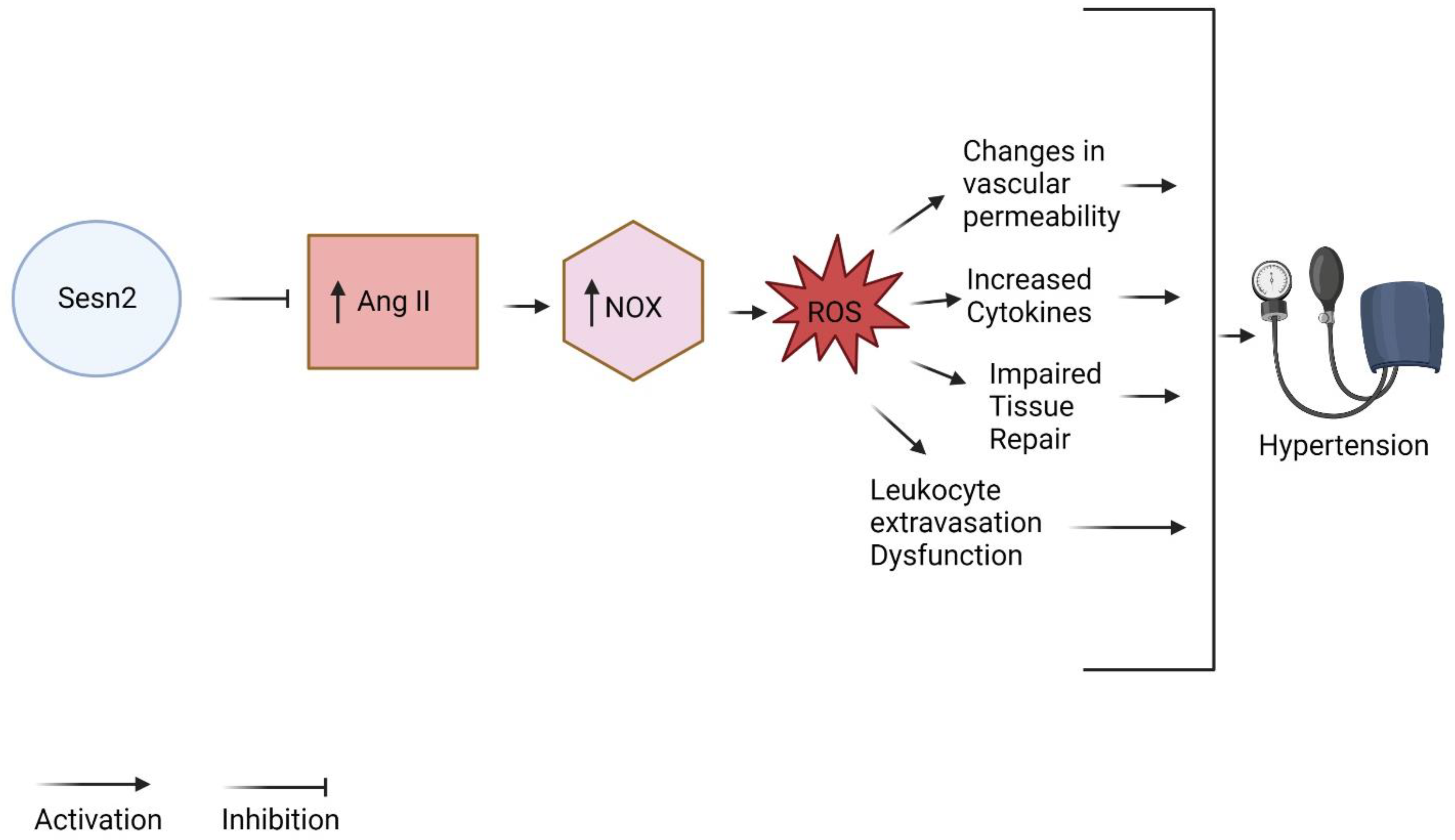 Diagnostics 13 02374 g003 Diagnostics 13 02374 g003