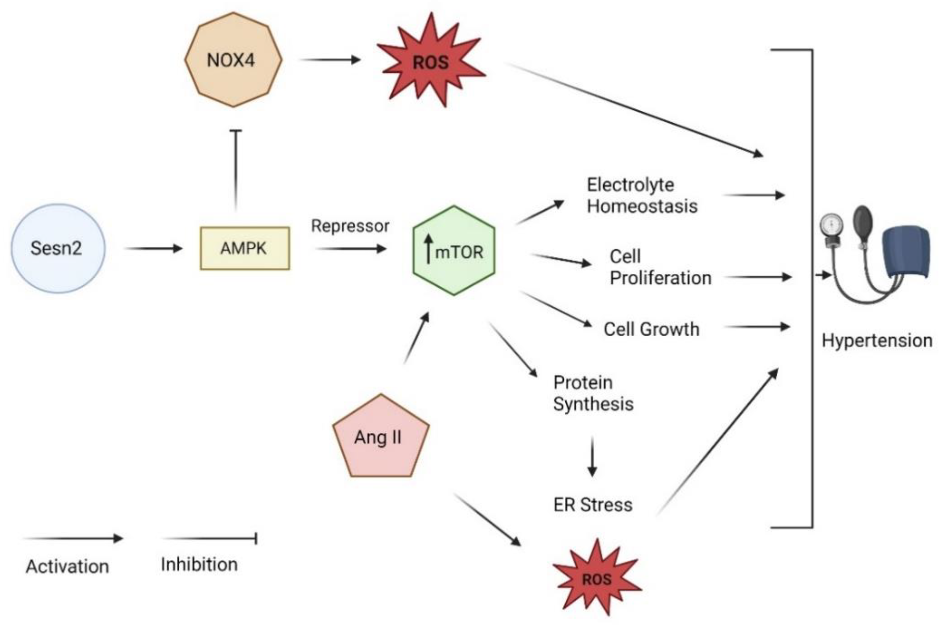Diagnostics 13 02374 g004 Diagnostics 13 02374 g004