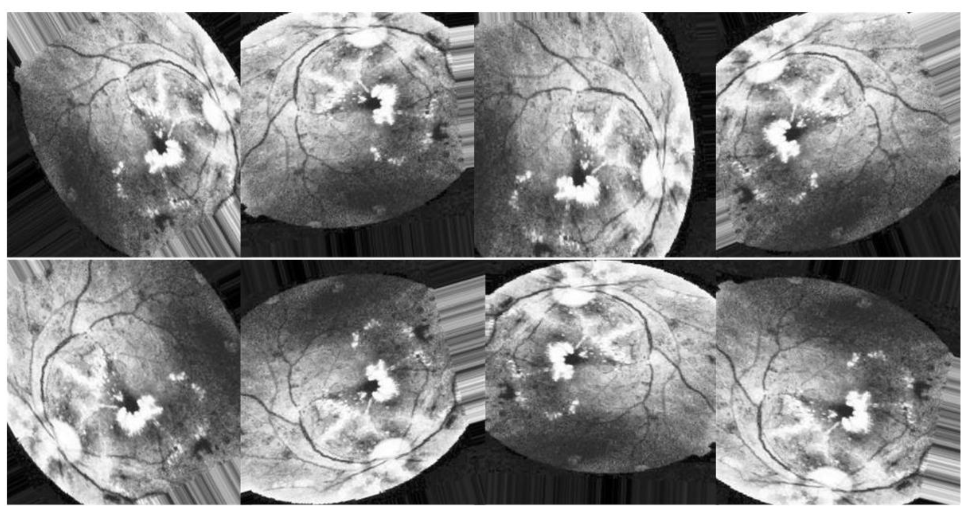 Diagnostics 13 02375 g009