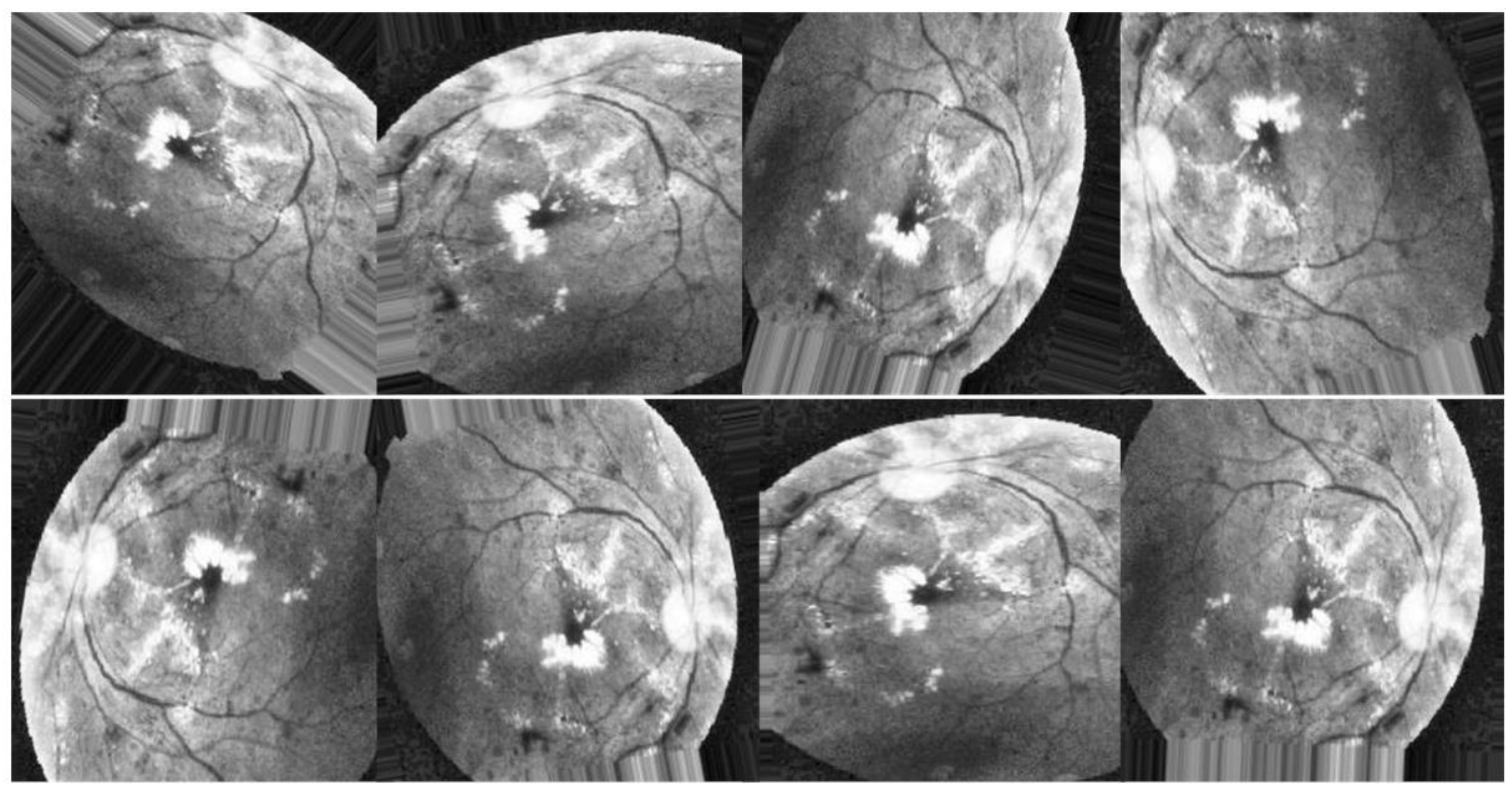 Diagnostics 13 02375 g010