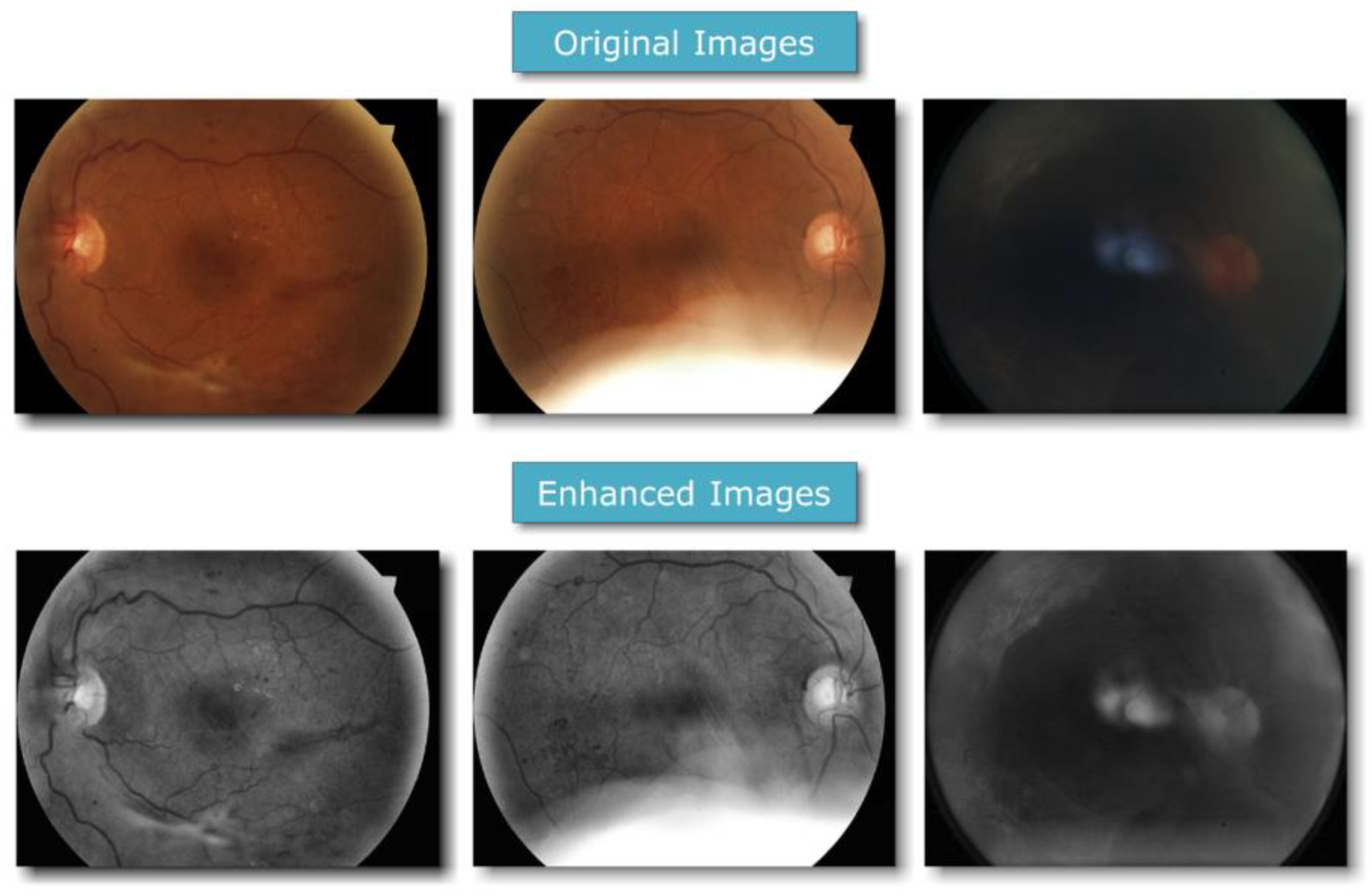 Diagnostics 13 02375 g019