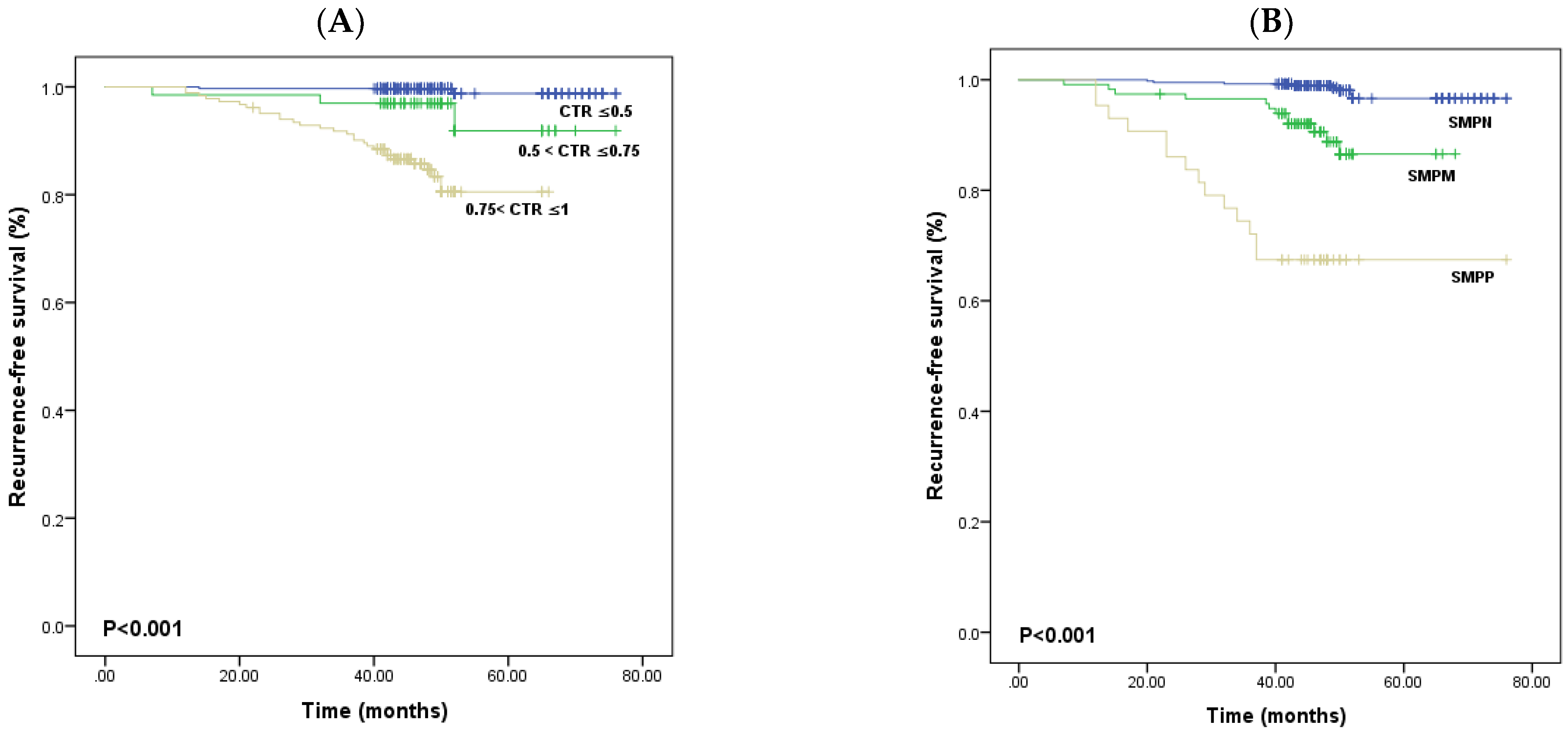 Diagnostics 13 02376 g001 Diagnostics 13 02376 g001