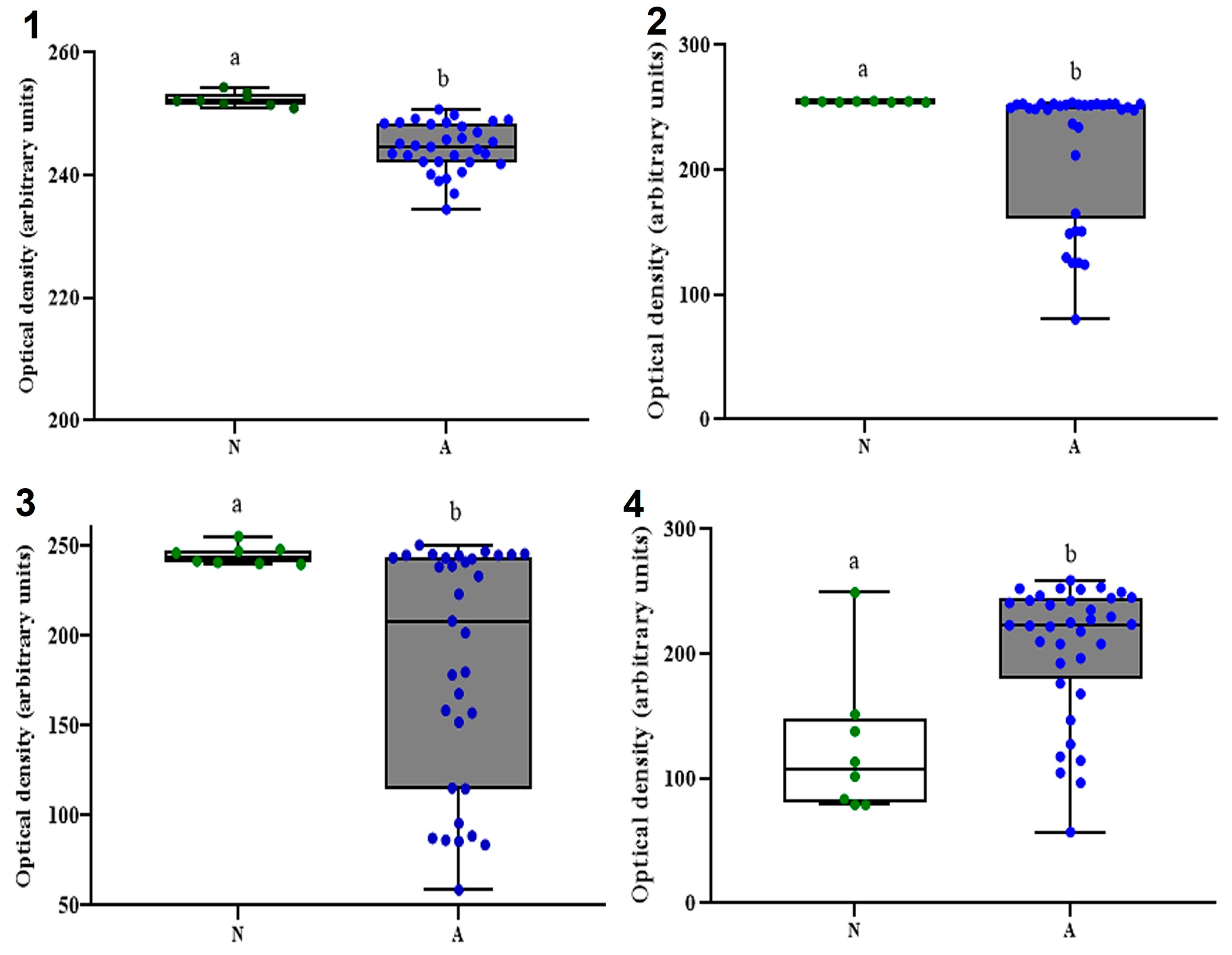 Diagnostics 13 02387 g003 Diagnostics 13 02387 g003