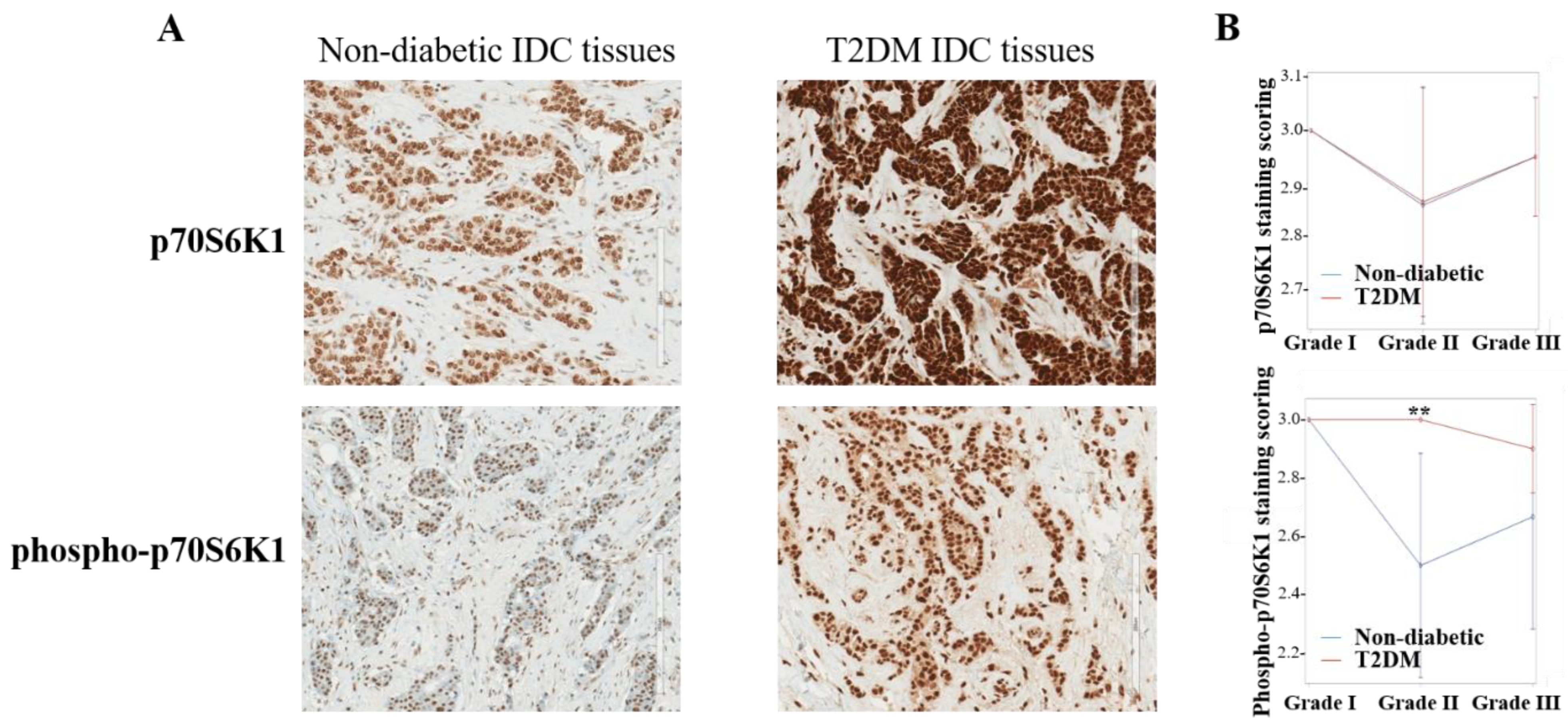 Diagnostics 13 02390 g001
