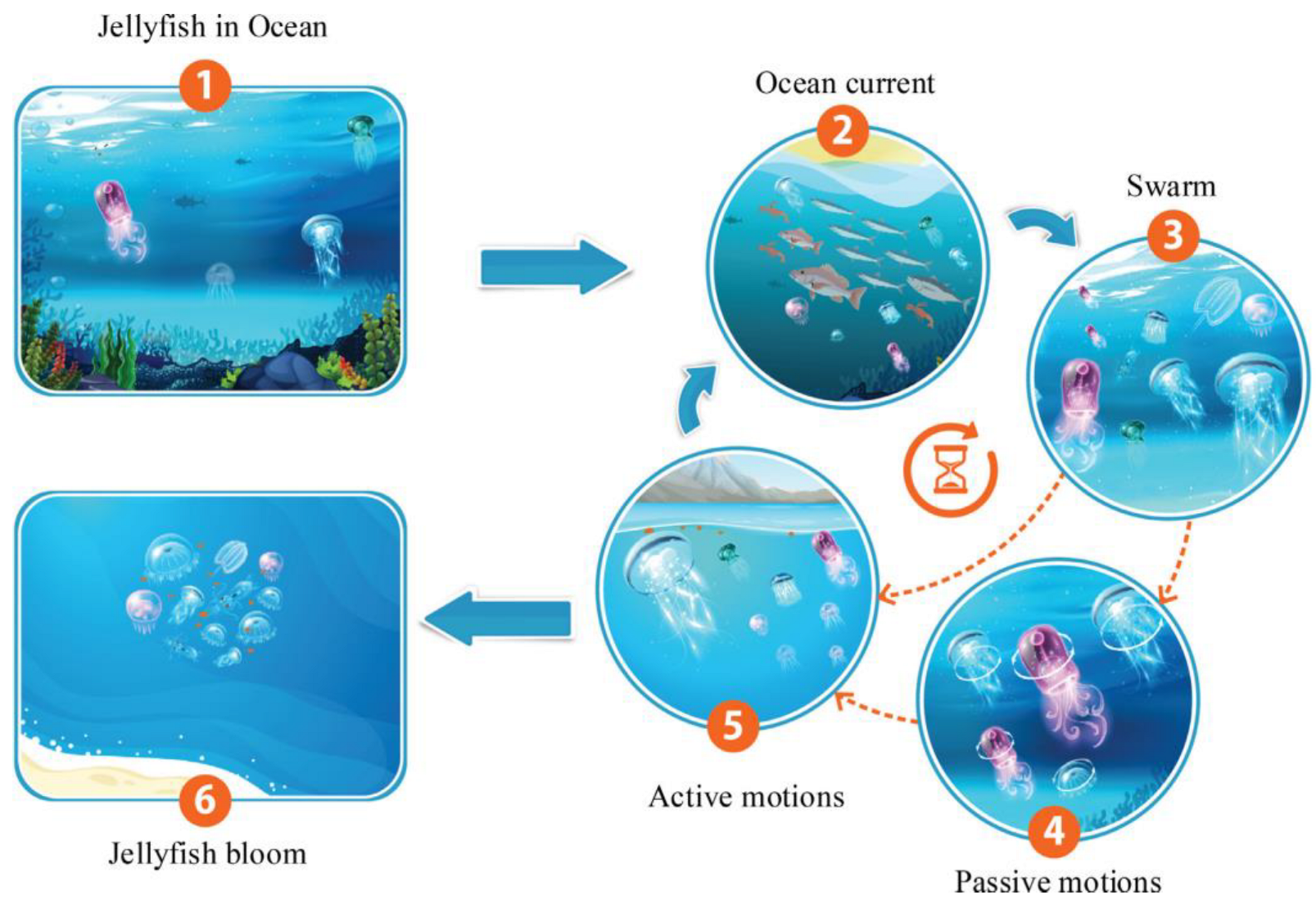 Diagnostics 13 02392 g002 Diagnostics 13 02392 g002