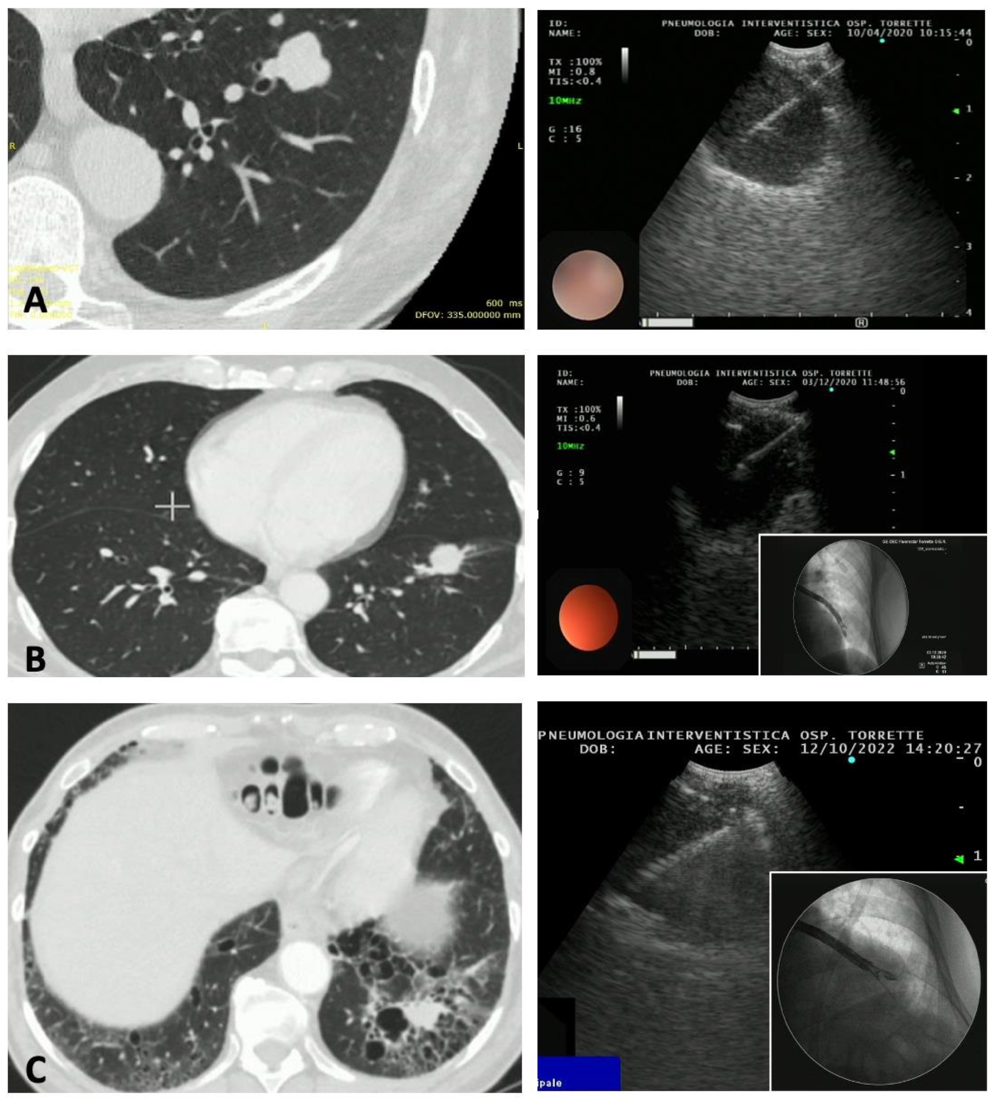 Diagnostics 13 02393 g001 Diagnostics 13 02393 g001