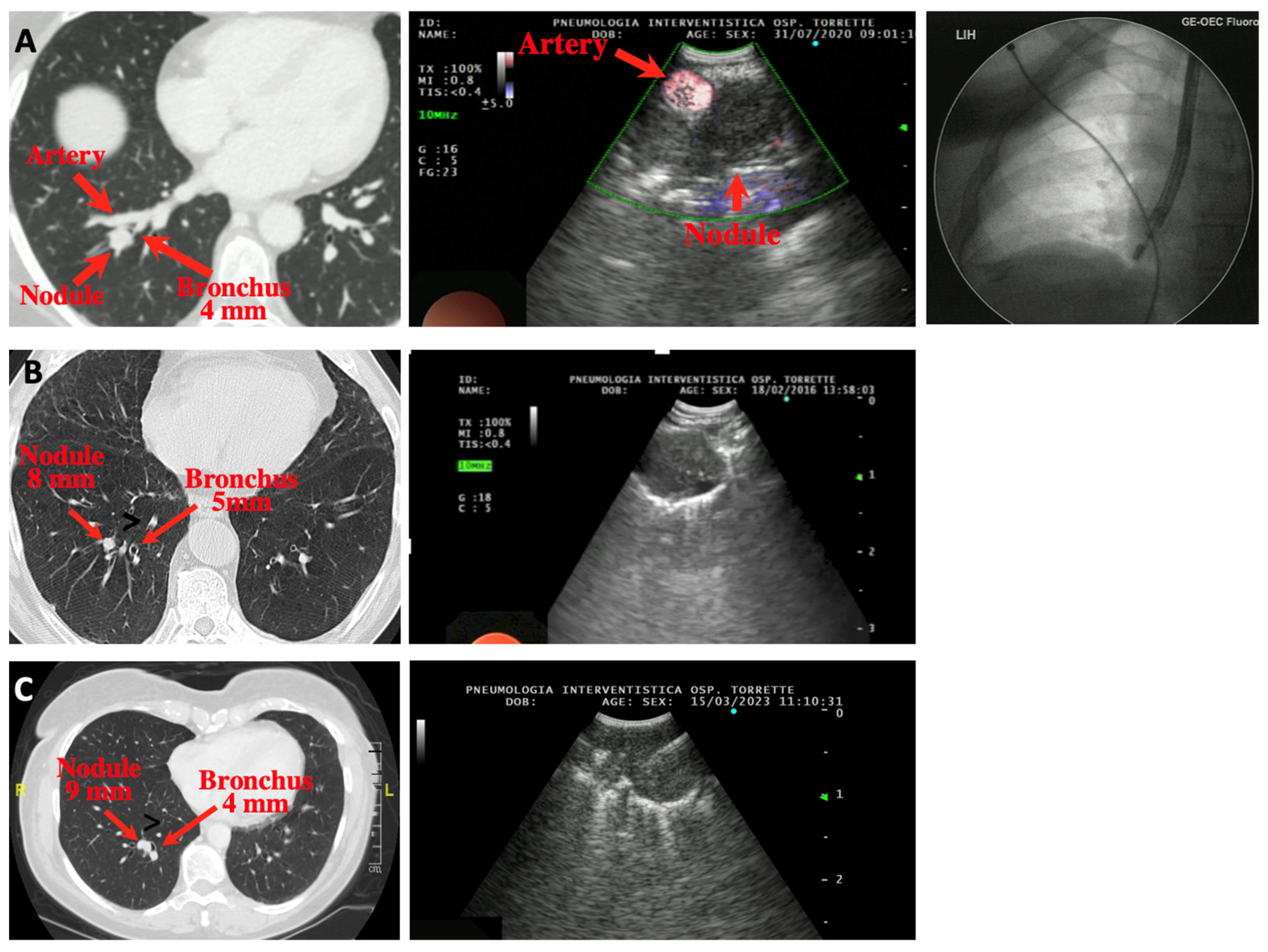 Diagnostics 13 02393 g002 Diagnostics 13 02393 g002