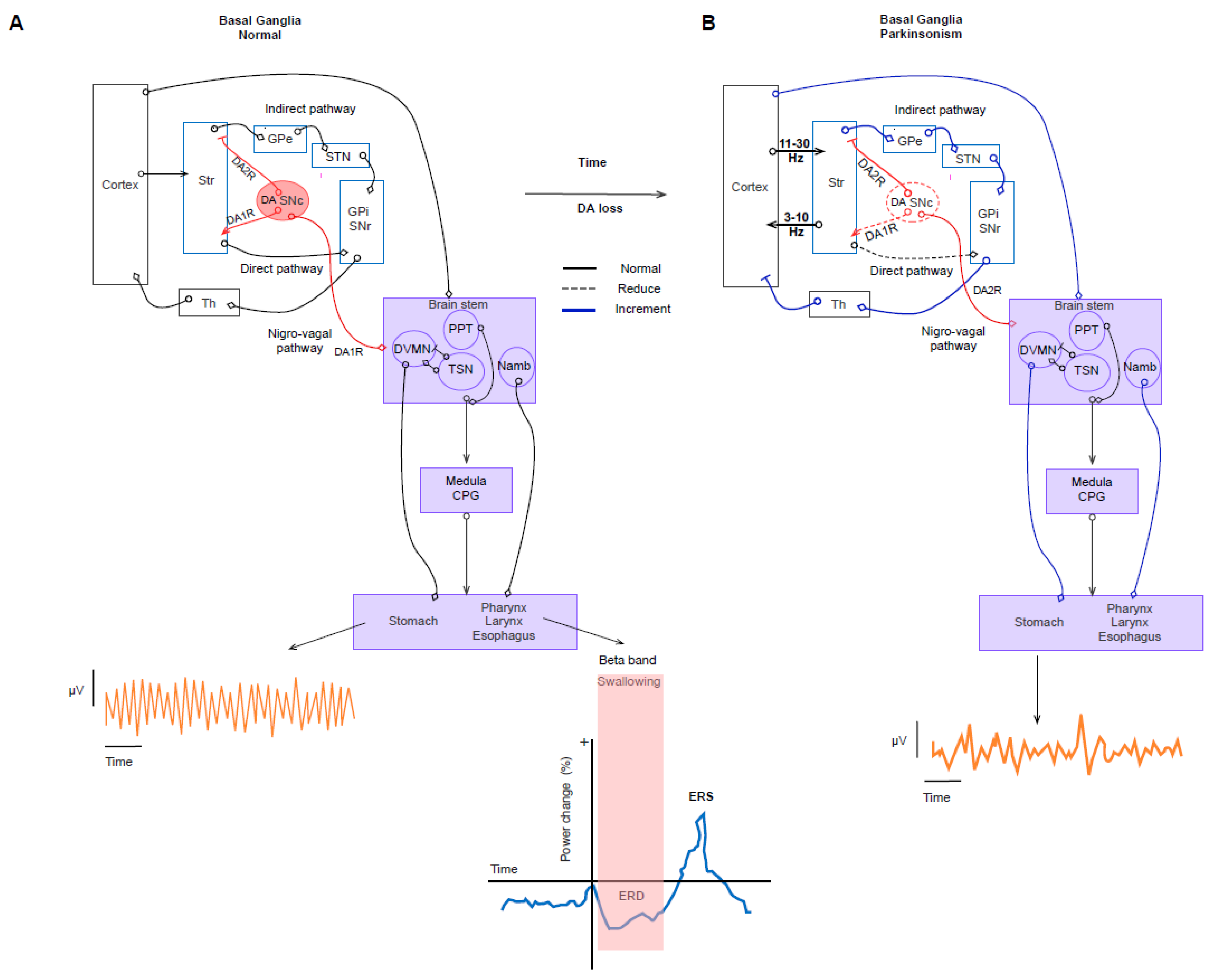 Diagnostics 13 02394 g002 Diagnostics 13 02394 g002
