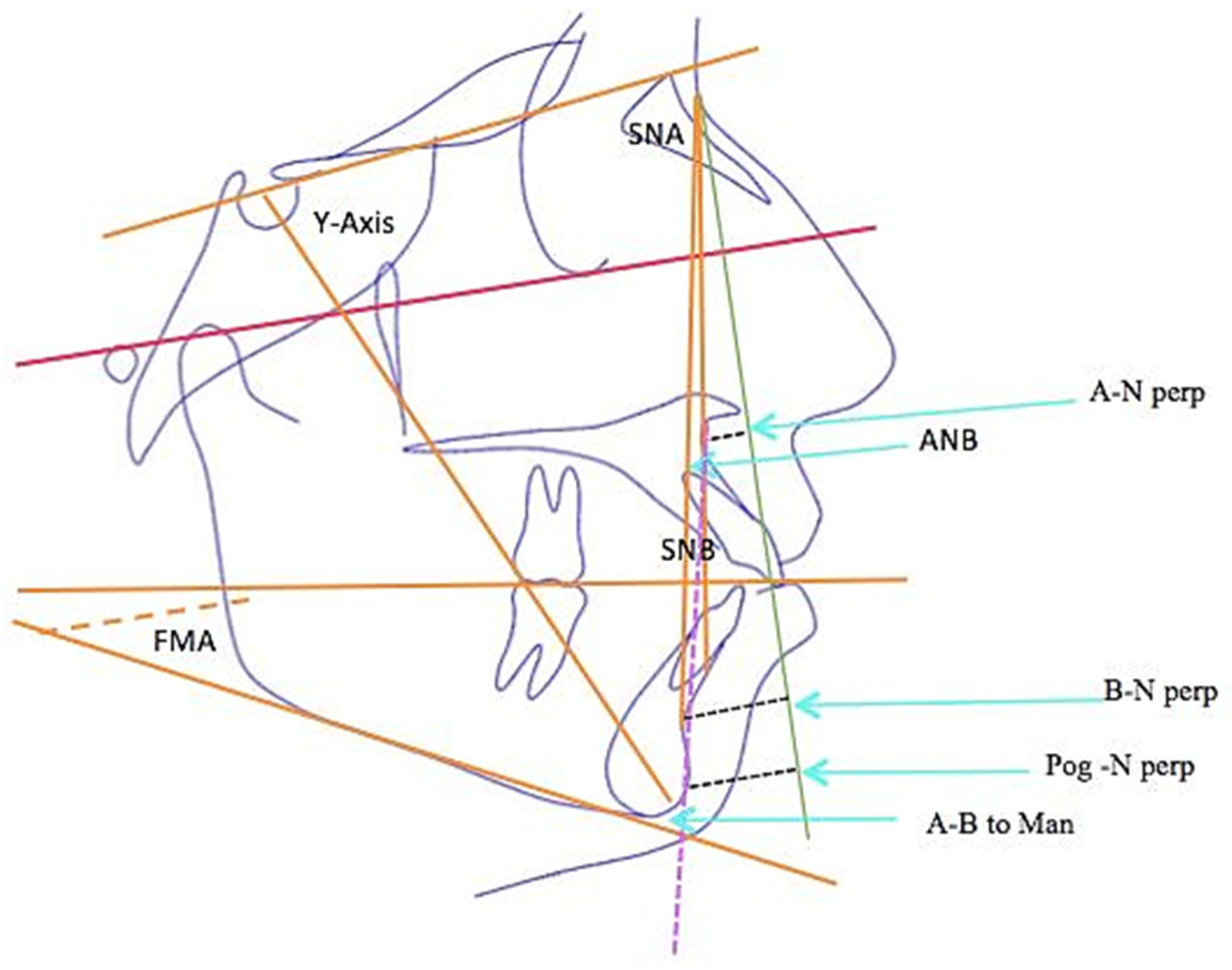 Diagnostics 13 02395 g002