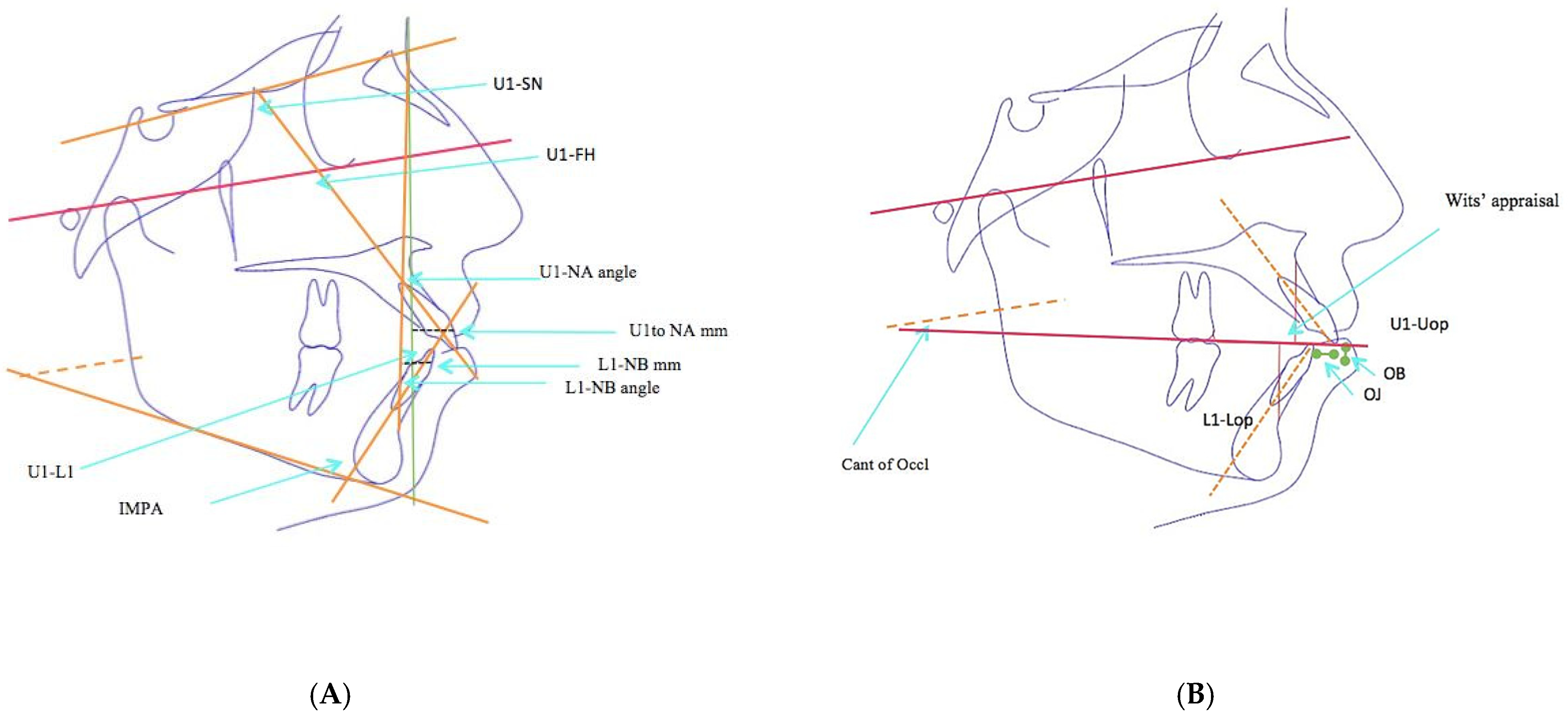 Diagnostics 13 02395 g003