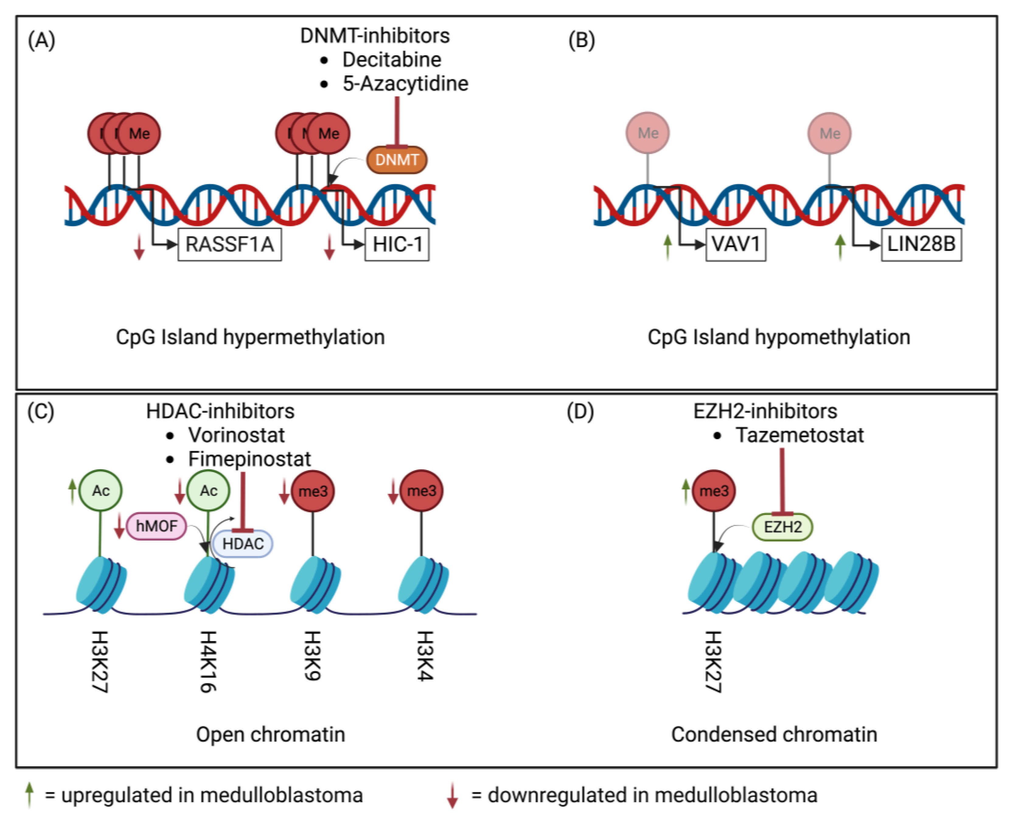 Diagnostics 13 02398 g001 Diagnostics 13 02398 g001