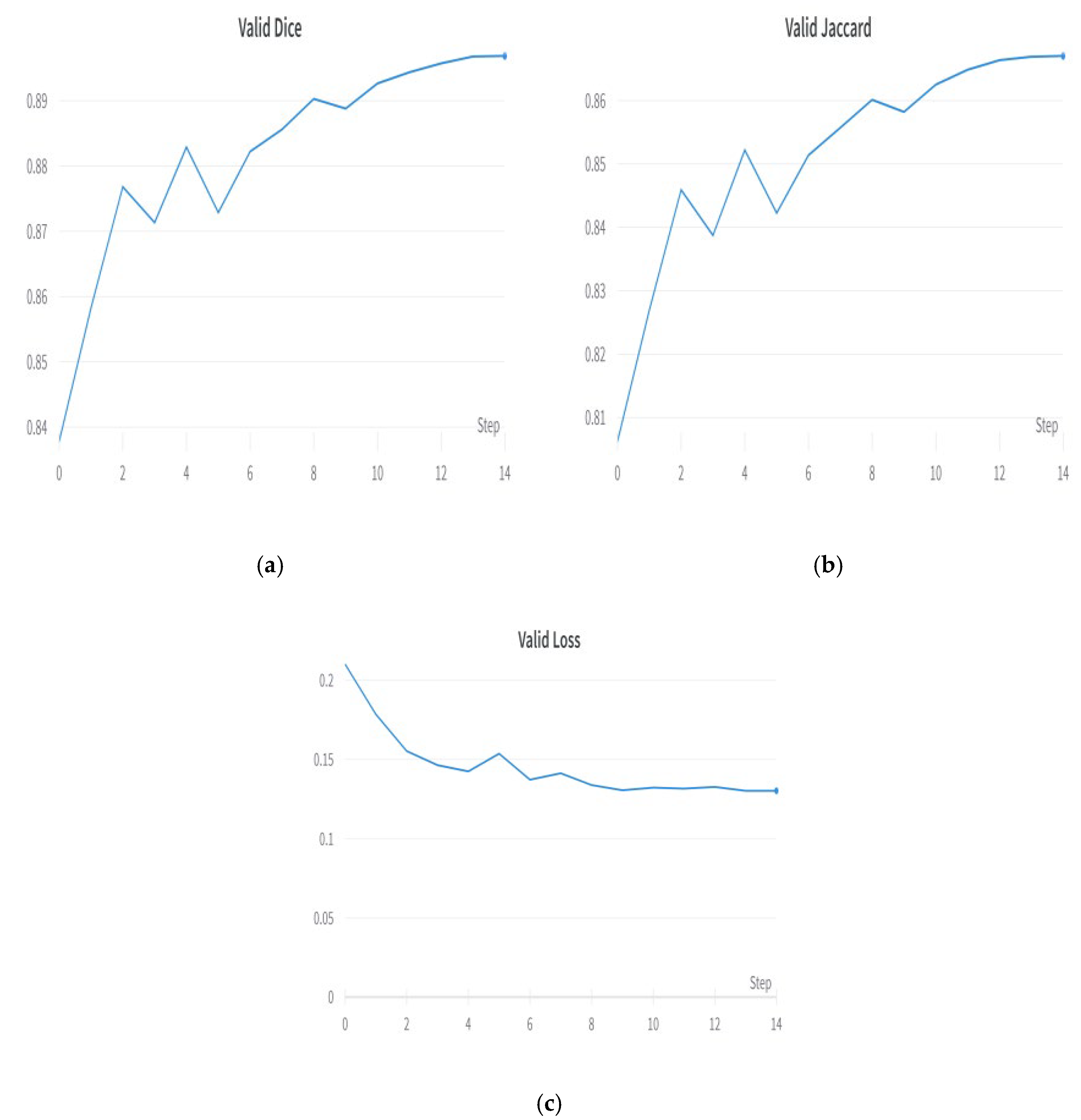 Diagnostics 13 02399 g005