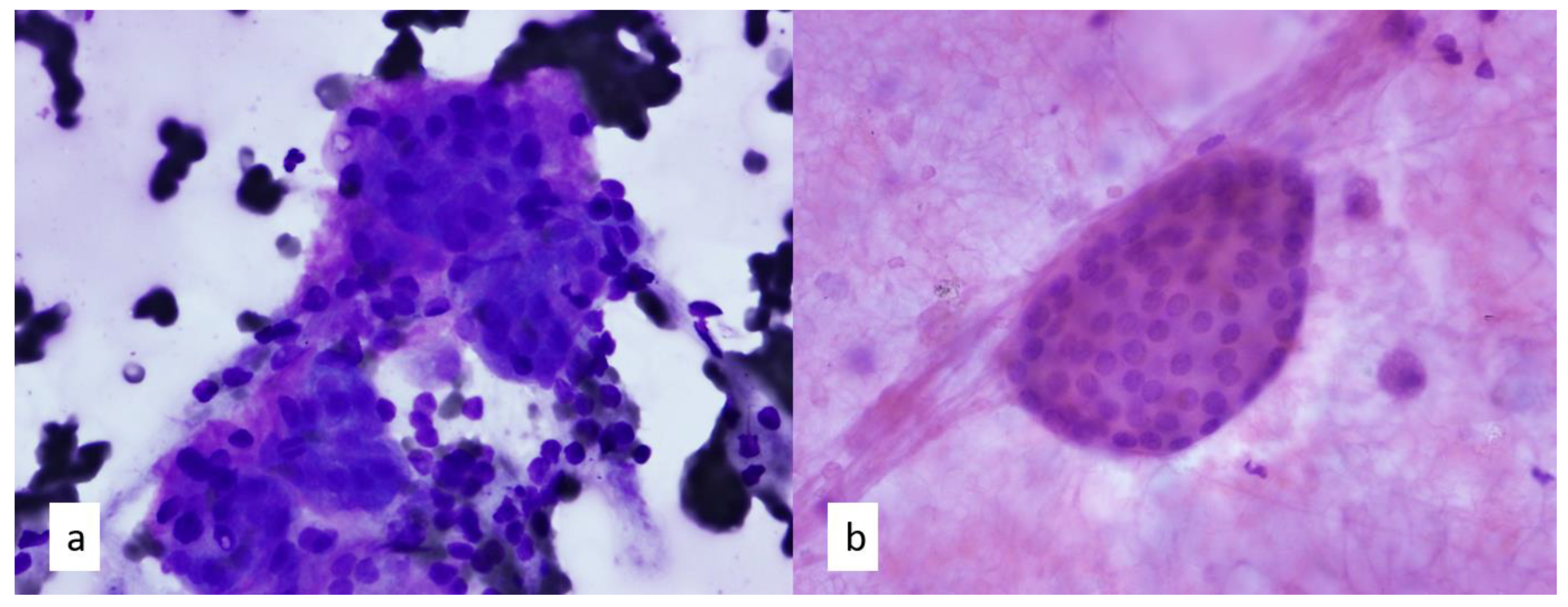 Diagnostics 13 02400 g004