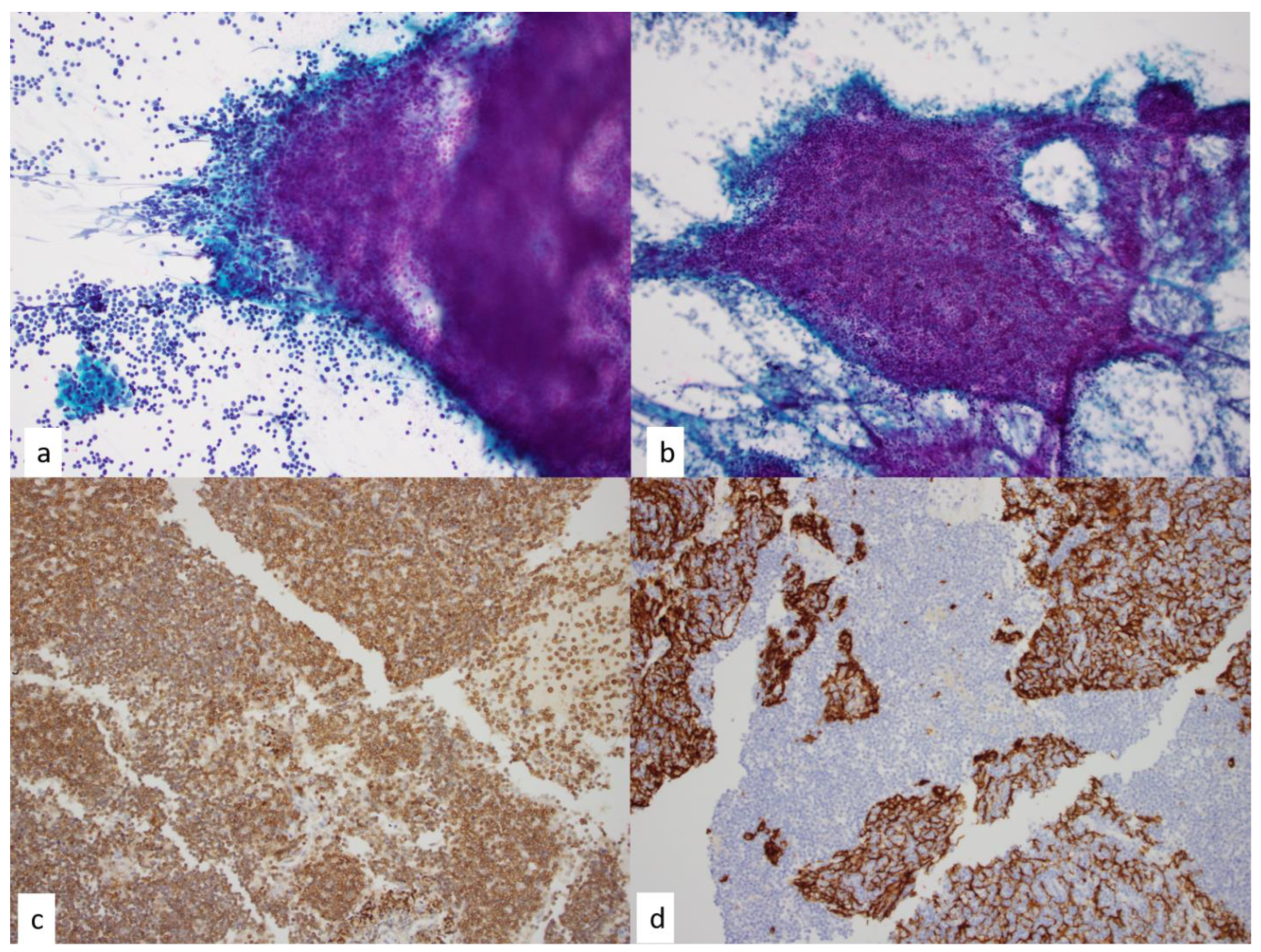 Diagnostics 13 02400 g005