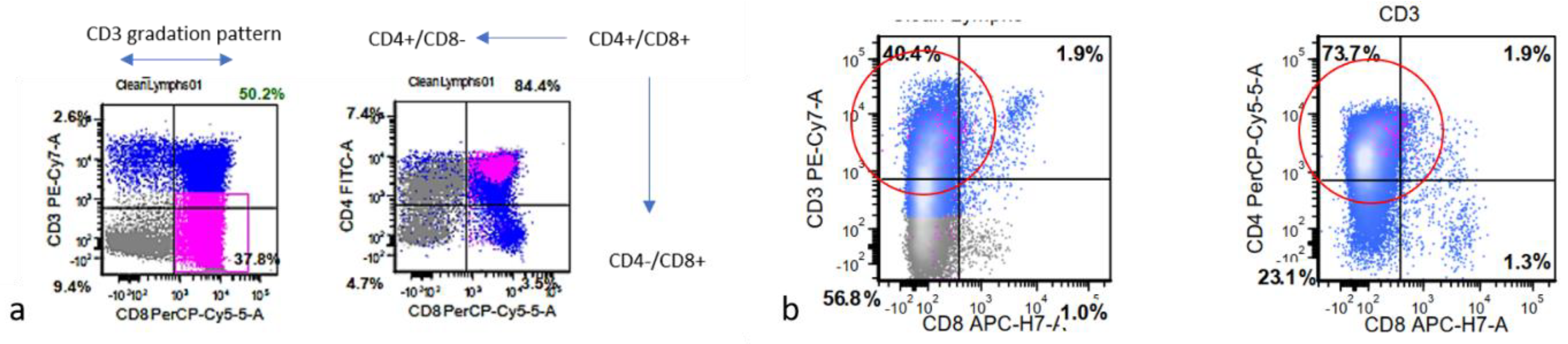 Diagnostics 13 02400 g006