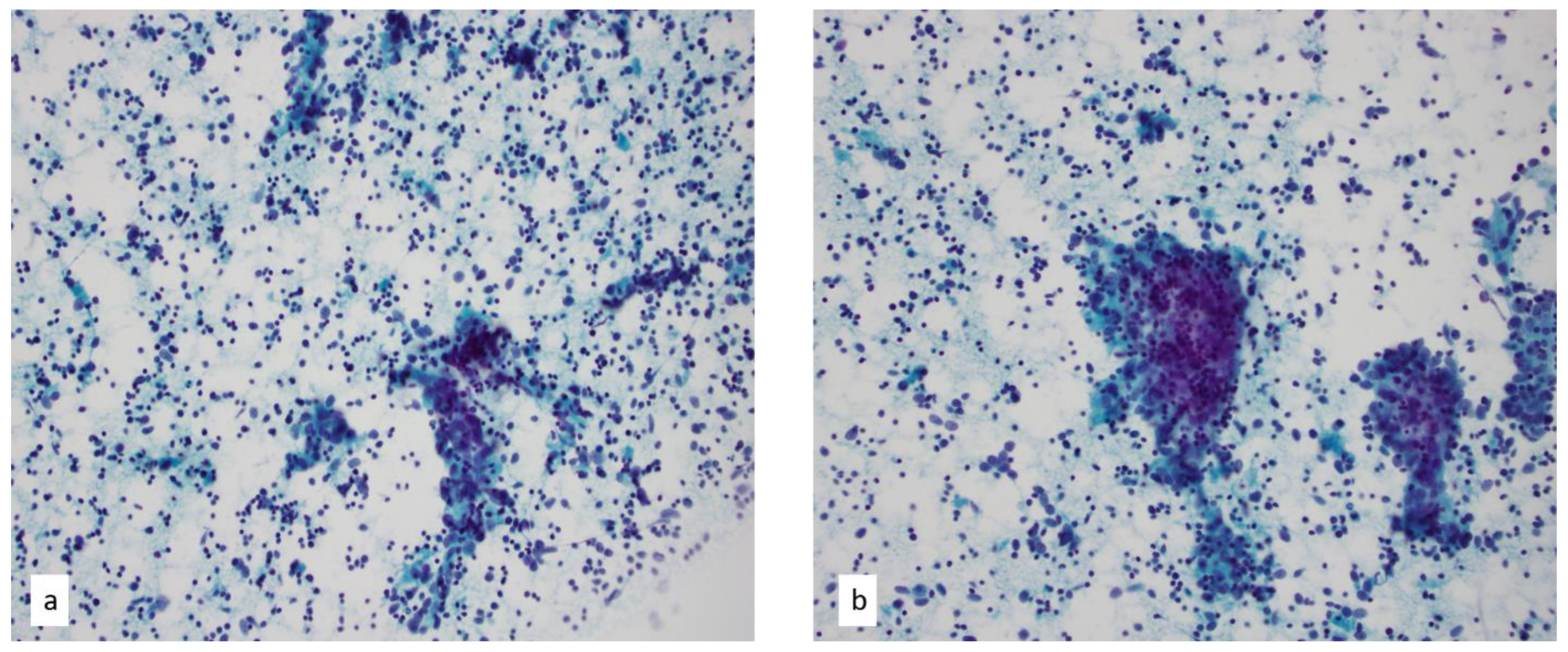 Diagnostics 13 02400 g007