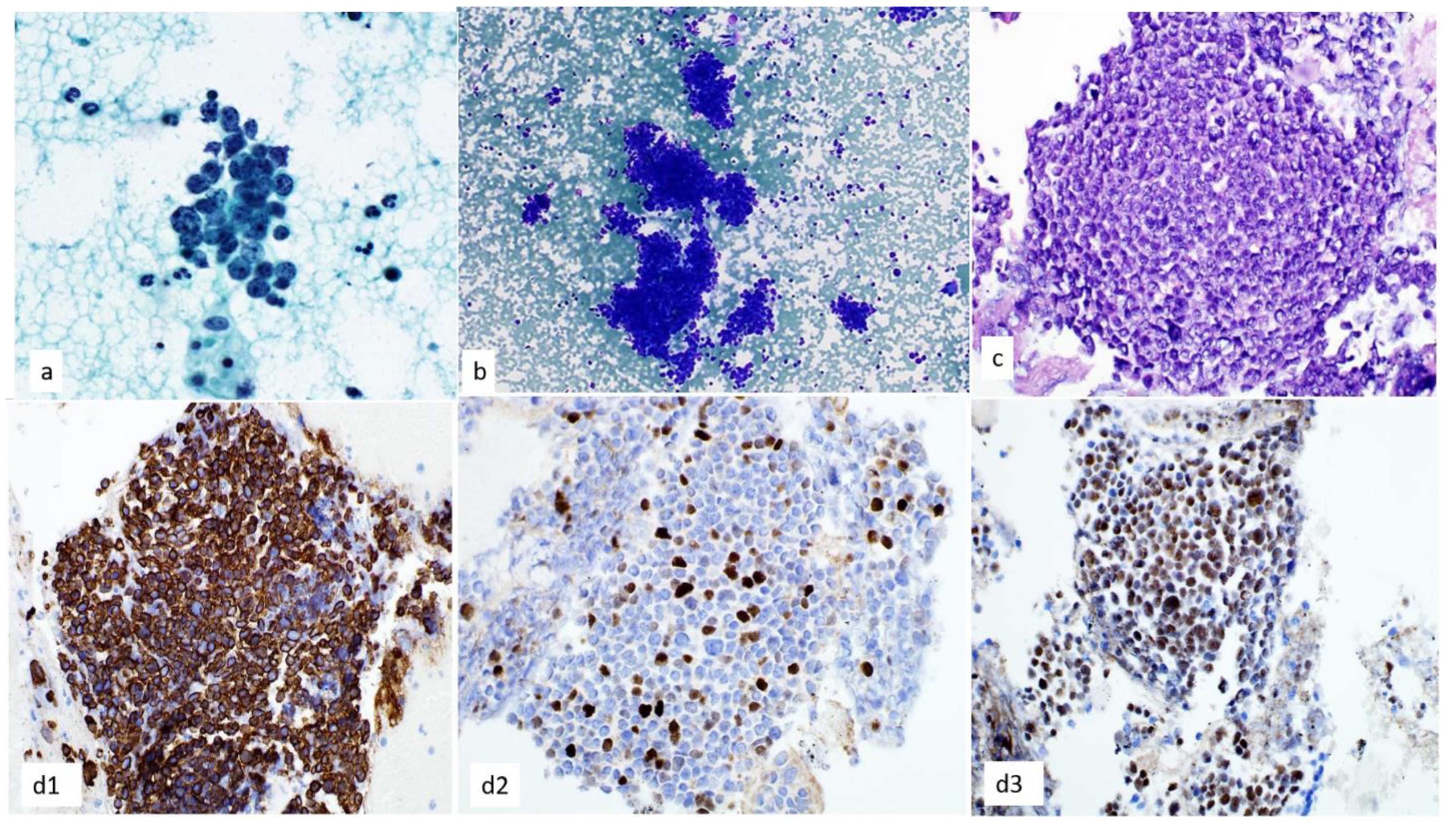 Diagnostics 13 02400 g009